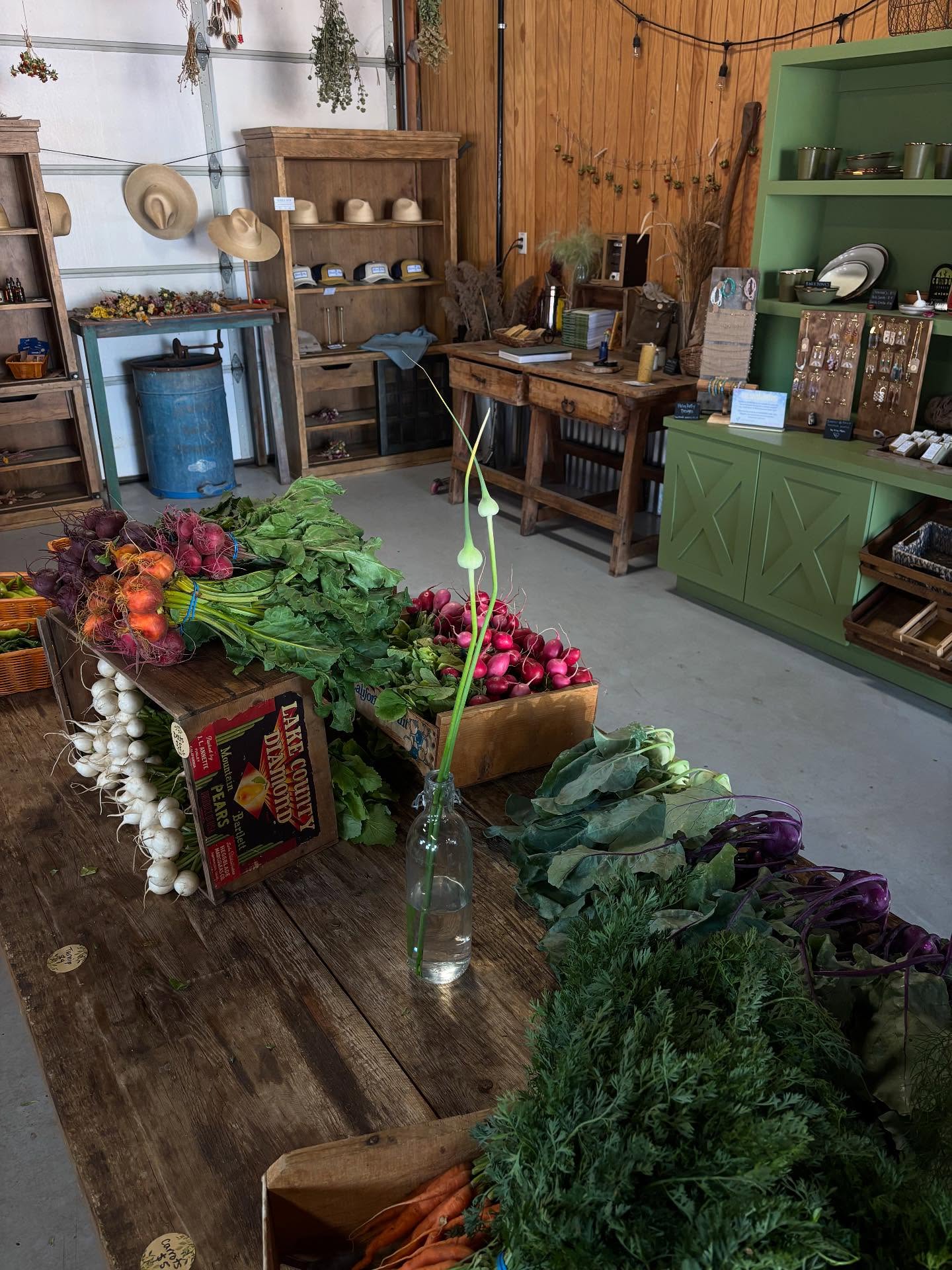 FARM STAND FRIDAY!!!
August 15th
🌿Farm Store will be open from 4-8pm
🔥Smokewood BBQ truck will be cooking up from 5-8pm
✨@haleykellydesigns will be here this week with a booth full of beautiful hand-made jewelry
🍅We have a plentiful assortment of veggies for you this week! See you tomorrow!