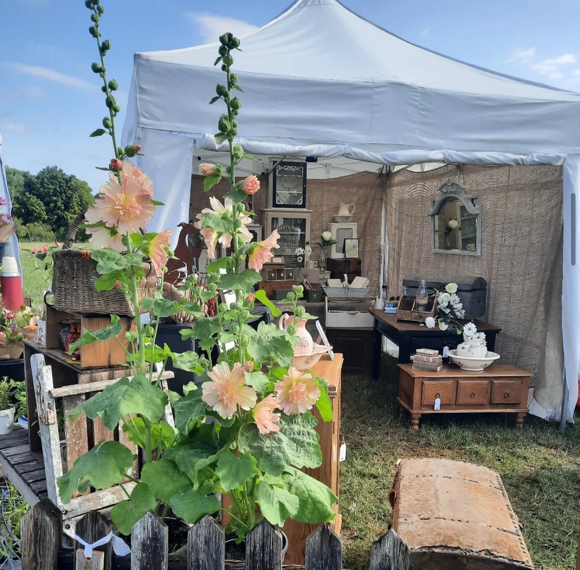 Introducing our Exhibitors 🤍
@trunkvintageuk
From rustic pine to pretty painted furniture, signs and decorative finds, we are delighted that Team Trunk, Caroline & Dave, will be back with us at the Summer Brocante🌿
You’ll find them set up in the courtyard ready to meet you @moylescourt on 25th August 🌸
Come and shop with our fabulous small independent businesses, follow their accounts and meet them in person at the Brocante 🤍
Monday 25th August 🎪
10 - 4pm
Moyles Court School
Nr Ringwood
New Forest
Tickets are now on sale through our website - see link in bio above 🎟️ or buy them on the gate when you arrive
All tickets £7:50 | U14 free 🎟️