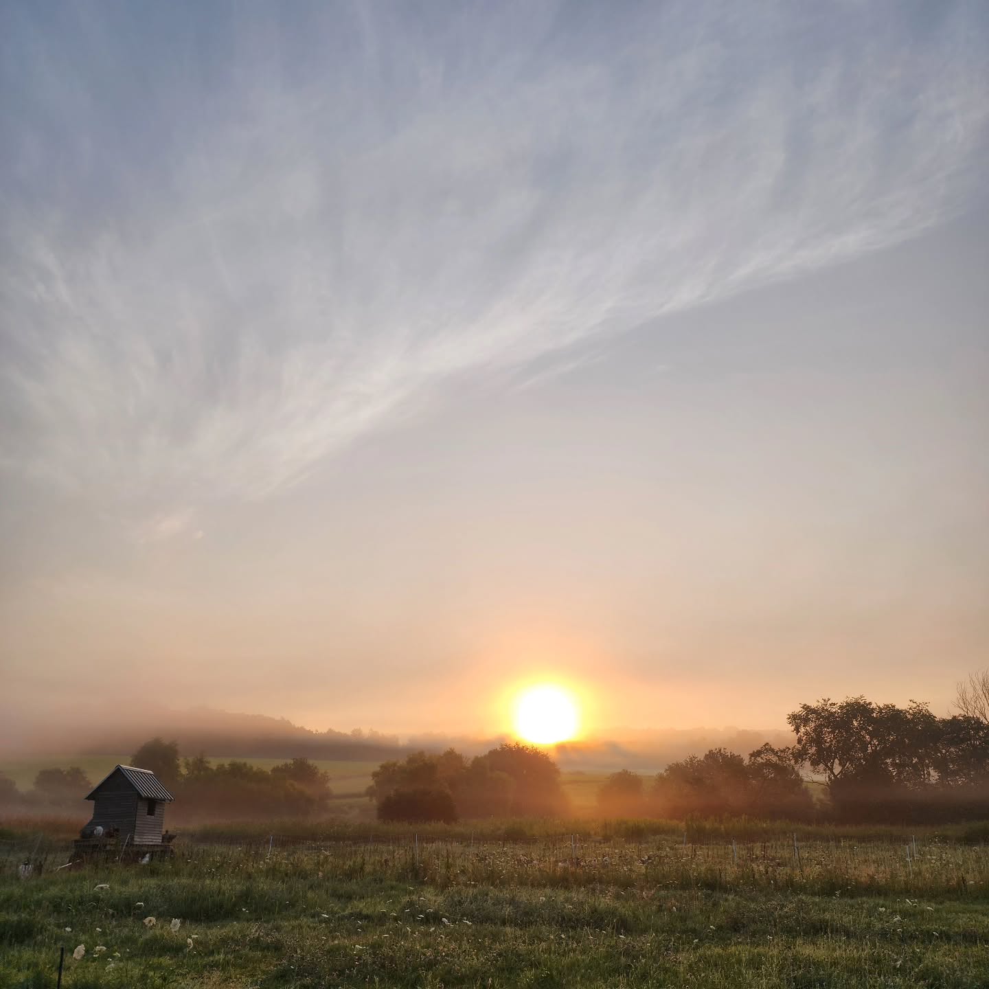 Harvest mornings never get old.
