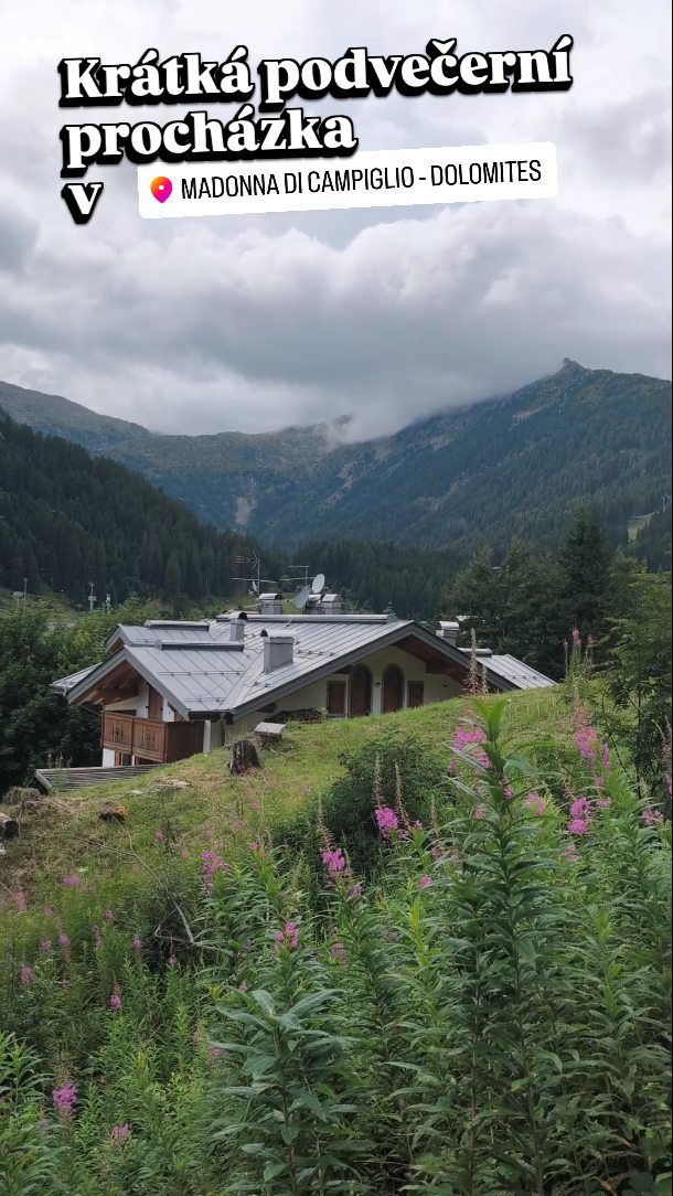 Aneb, co jsme ještě stihli v podvečer na chvíli v Maddoně 26.7....
Byla #procházka, #pizza, #aperolspritz, #detskehriste i #cokoladovna, respektive, 4 pralinky z obchodu z pralinkami z Bolonge... 😂
A pár obchodů jen tak na #windowshopping k tomu 🤣😇...
#vimteamcz #visititaly #visitdolomites #dolomites #trentino #madonnadicampiglio