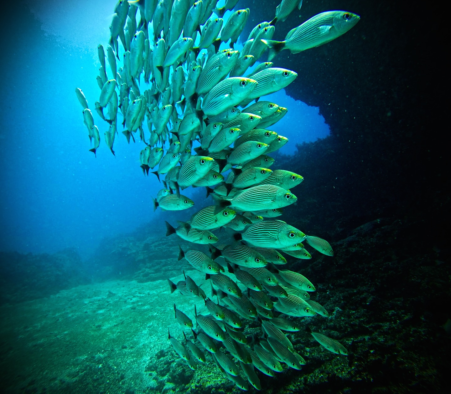 “Time and tide wait for no man.” – Saint Marher