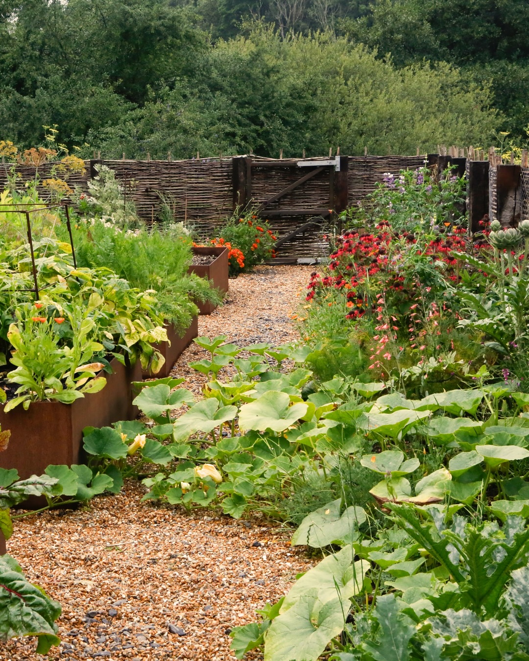 Once a clay tennis court, now an edimental kitchen garden in full swing!
The clients have been busy growing all sorts of edible plants and cut flowers, as you can see in the first few images, whilst the surrounding area has been transformed into an edible woodland.
The new hazel hurdle fencing has been rabbit proofed to create the perfect sustainable and rustic boundary solution for the central kitchen garden.
This sunny spot has been kitted out with raised steel planters, and a ground level planting bed that wraps around the inside and outside of the fence. The adjacent rolling hills and woodland provide a beautiful backdrop to the space!
A new circular water feature has been installed within the edimental woodland space outside the central kitchen garden, with gravel pathways winding through planting islands.
Star species here that are bringing colour to the newly green space are: Monarda ‘Scorpion’ and Achillea millefolium, Agastache ‘Blue Fortune’ and Foeniculum vulgare.
Are you dreaming of a kitchen garden? Then give us a call we’d love to help you 😊
⸻
ABOUT: Joe Perkins Design is a multi-award-winning landscape design consultancy, creating innovative outdoor spaces that celebrate the environment, wildlife, and biodiversity. Working across the UK and internationally, we partner with clients who share our passion for sustainable and visionary design. Discover more about our work at: www.joeperkinsdesign.com