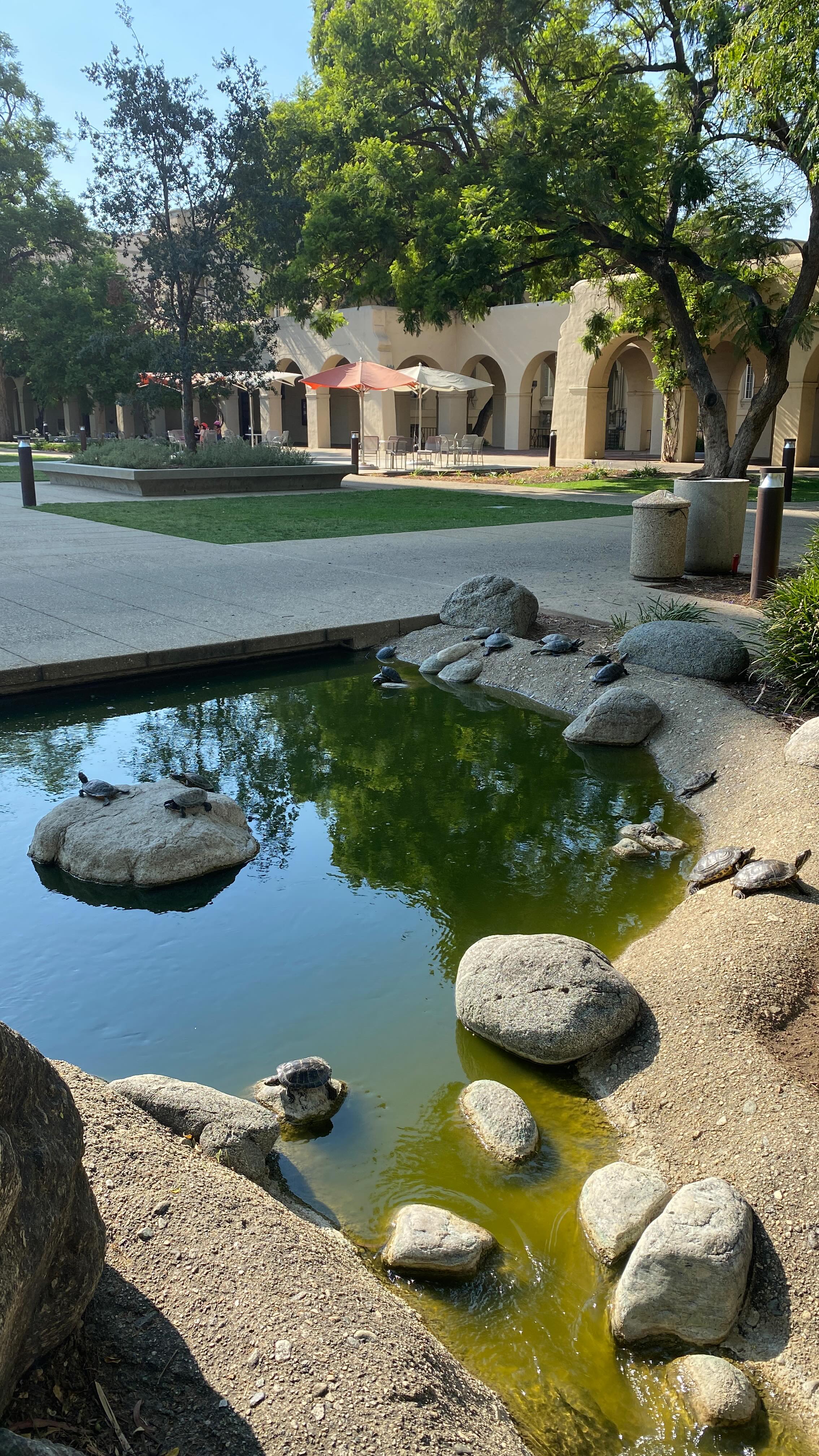 Wellness Experiences For Every Setting-
From classrooms to boardrooms to sacred gatherings, our signature Sound Bath and Breath Work sessions support healing, connection, and presence wherever you are.
If you are curious about sound baths please follow us for our upcoming community events, or ask us how we can bring a welcome moment of stillness and rest into your workplace.
✨ 🥣 ✨
Somer + Skye
#soundhealing #wellness #pasadena #relaxation #reset #grounding #caltech #momentofcalm
