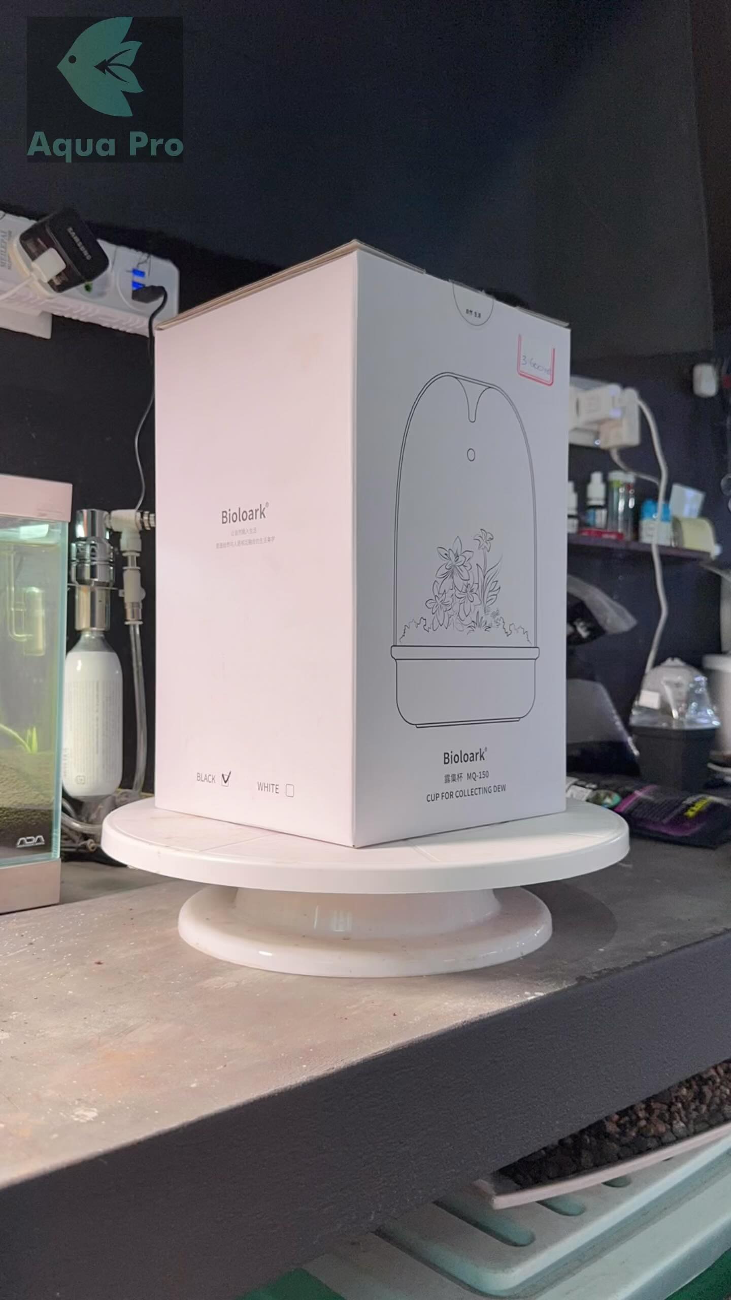 This little Terrariums are a great way to train my scaping skills. I wish I had more nano plants for them.
#aquascaping #aquascapers #aquariumphotography #plants #terrariums #bioloark_terrarium #bioloark #darthvader #darthvaderbegonia