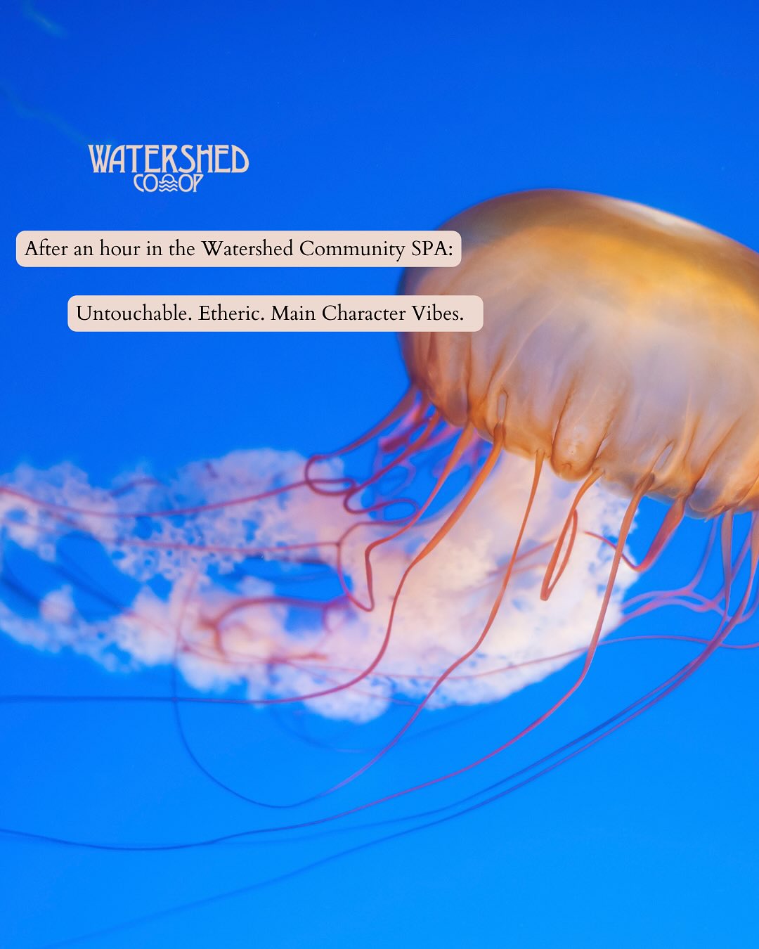 â˛ď¸One Hour. Deep Medicine.
Step into the Watershed Community Spa and remember what it feels like to simply be.
For one full hour, disconnect from the global frenzy and reconnect with yourself.
This isnât luxuryâthis is necessity. This is coming home to your animal body through the ancient practice of bathing.
Steam. Heat. Cold. Rinse. Repeat.
These are ceremonial elements that have guided human healing across every culture, every continent, every generation.
Our Community Spa offers what your nervous system is craving: detox for the body, sanctuary for the spirit, and room to process the heavy emotions and pressing stress we all carry.
Bathing culture isnât just relaxationâitâs transformation. Itâs where we learn to inhabit our bodies fully, where we remember that healing happens in community, where we wash away what no longer serves.
The Watershed Community Spa is your dedicated, clean, safe space for deep internal work. Come alone for solitude. Bring a friend to hash it out together. Either way, youâll emerge shining.â¨
One Hour Sessions:
đ Single Pass: $30
đ Duo Pass: $50
Because wellness shouldnât be reserved for the wealthy. Because our community deserves access to wellness. Because sometimes an hour of intentional disconnection is exactly what changes everything.
đFollow the Water. Your body is waiting.
đBOOKING LINK IN BIO
