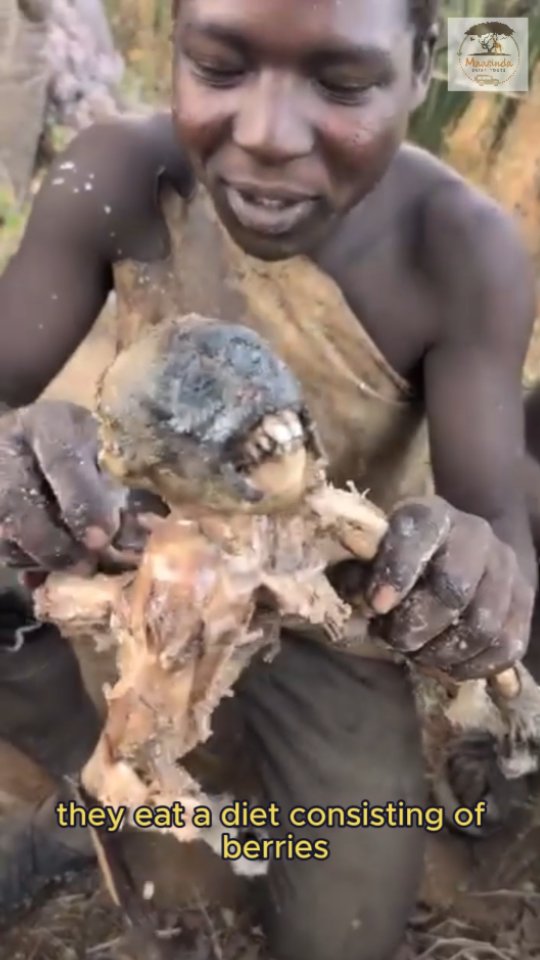 Step back in time with the Hadzabe tribe of Tanzania — one of the last true hunter-gatherer communities on Earth. 🏹🍂 Experience their ancient traditions, unique language, and deep connection to nature. A journey with Maasinda Safari Tours isn’t just a safari — it’s a cultural awakening. #Hadzabe #CulturalSafari #MaasindaSafariTours #TanzaniaUnfiltered #TribalExperience