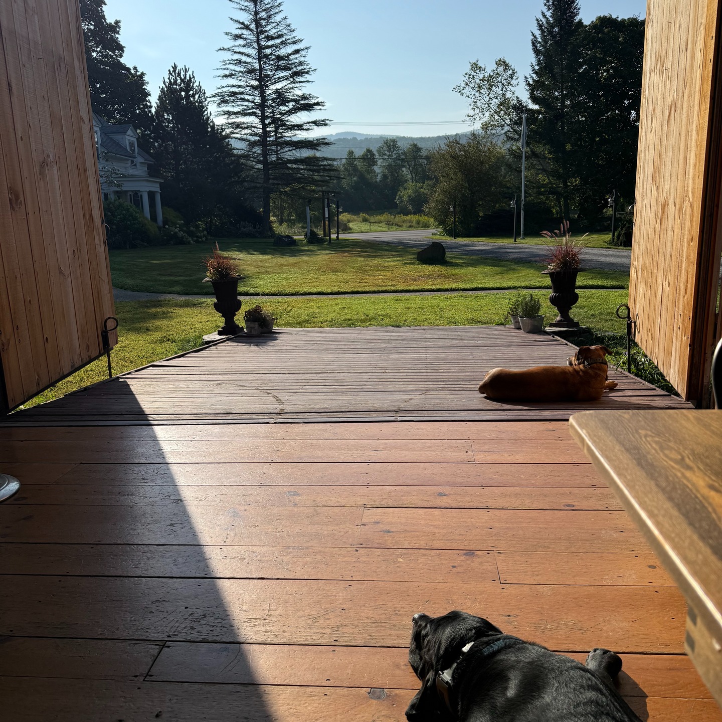 My moment of zen!
In the mornings before the guests wake up and come to the barn for breakfast, I like to take a moment to take a breath before the day really begins. The coffee is brewing, the griddle is heating, and I get to watch the world go by (literally and figuratively). And on a cool sunny morning like this, it is all worth it.
If you need a moment like this, come join me (and Bene and Alli). This is the way to start a day!
Make your reservations today at link in bio.
#madrivervalley #serenity #staymrv #eatmrv #momentofzen #whywelivehere