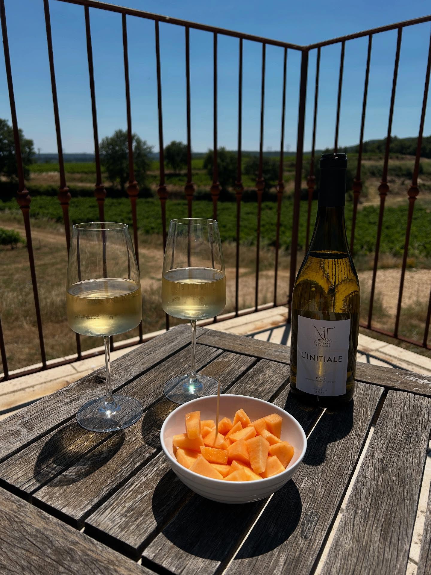 APÉRO
Idéal pour accompagner vos apéritifs estivaux, découvrez vite l’Initiale Blanc, notre vin IGP Gard, léger et fruité ! Votre must-have de l’été !
#vinblanc #domaineviticole #vignoblefamilial #igpgard #apéro #léger&fruité