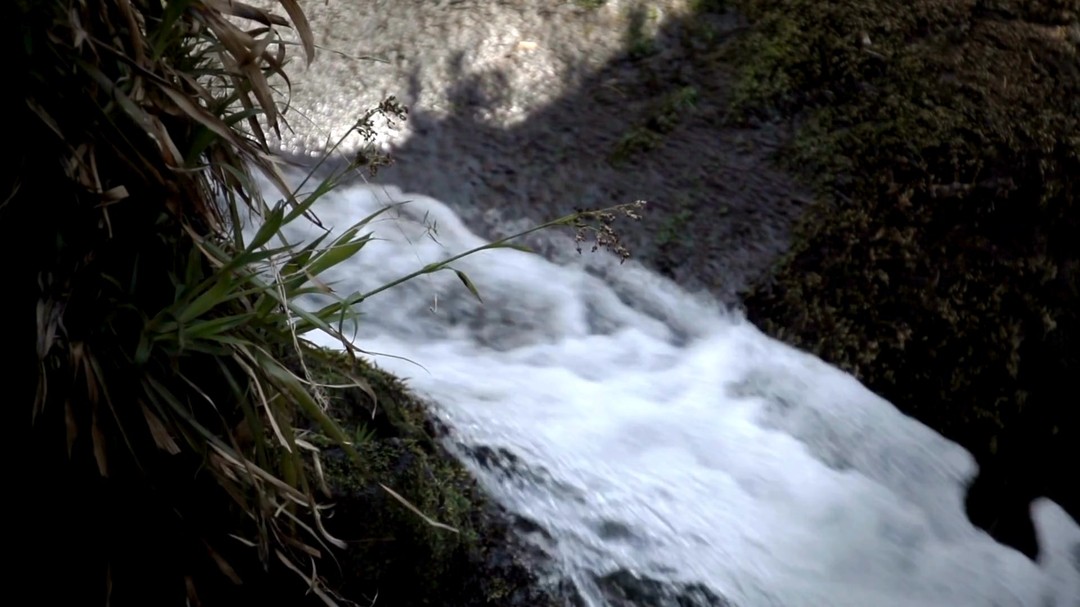 Some call it chasing waterfalls.
We call it following magic.
Powys hides tumbling secrets in deep woods and mossy gorges — just follow the sound of rushing water…
Sŵn dŵr yn galw…
Yng nghanol coed a chreigiau, mae rhaeadrau Powys yn llechu, yn disgleirio, ac yn eich gwahodd i ddarganfod y swyn.