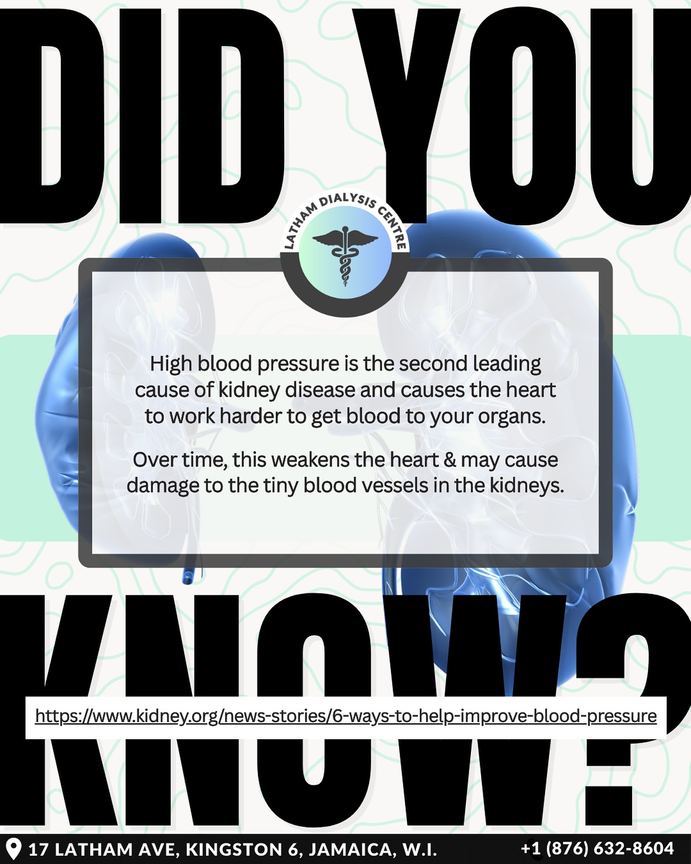 Address high blood pressure immediately !
#LathamDialysis #LathamDialysisCentre #LathamDialysisJamaica #Jamaica #Kingston #KidneyDialysis #KidneyDialysisJamaica #KidneyDialysisinKingston #KidneyHealth #DialysisCenter #kidneydialysisinjamaica #KidneyDiseaseRisks #HighBloodPressure #DidYouKnow #FYP
