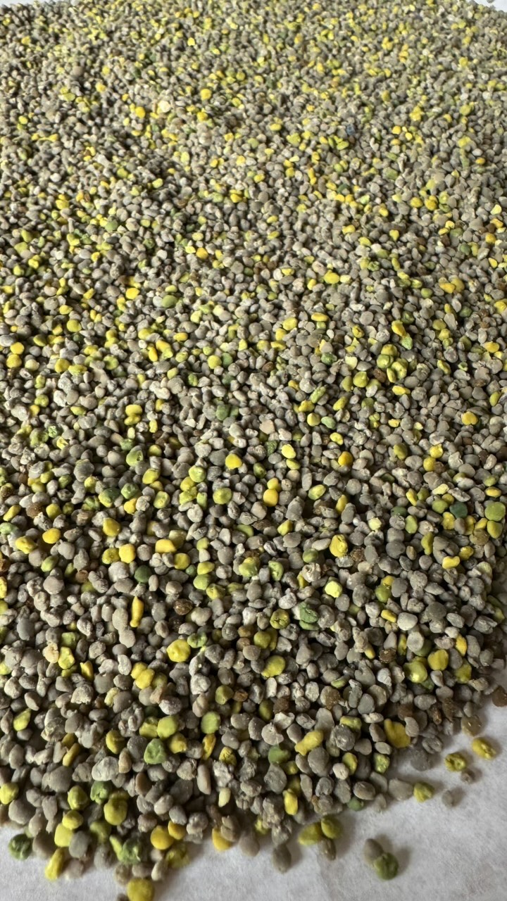 Since nobody’s reading, I’ve been forced to raise my voice, sorry, but now you have to listen to me!
😁😘❤️
#ifyoudontknownowyouknow #superfood #rawfood #hayfever #holistichealth #naturesbest #freshfood #freshpollen #raisevoice #pollen #raw #rawpollen #beefood #reeloftheday #fresh #health #healthyfood #naturalimmunebooster