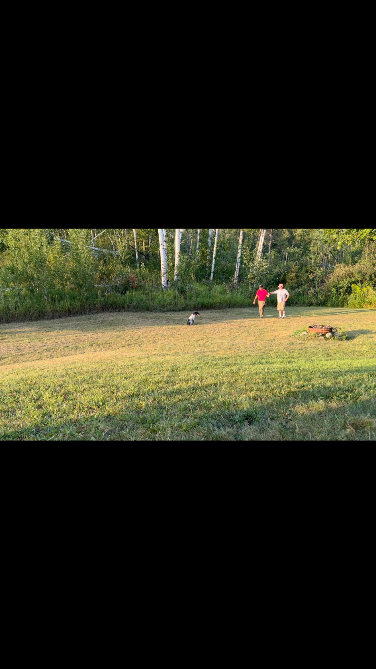 It starts with a hup/sit, a look, a moment of connection.
Day by day, we build trust, focus, and purpose.
This isn’t just obedience—it’s the beginning of something greater.
A dog that listens. A partner in the field.
Growth happens here, one command at a time.
Precision. Performance. Partnership. That’s what we develop in every field dog.
#GunDogTraining #SpanielTraining #TrainToHunt