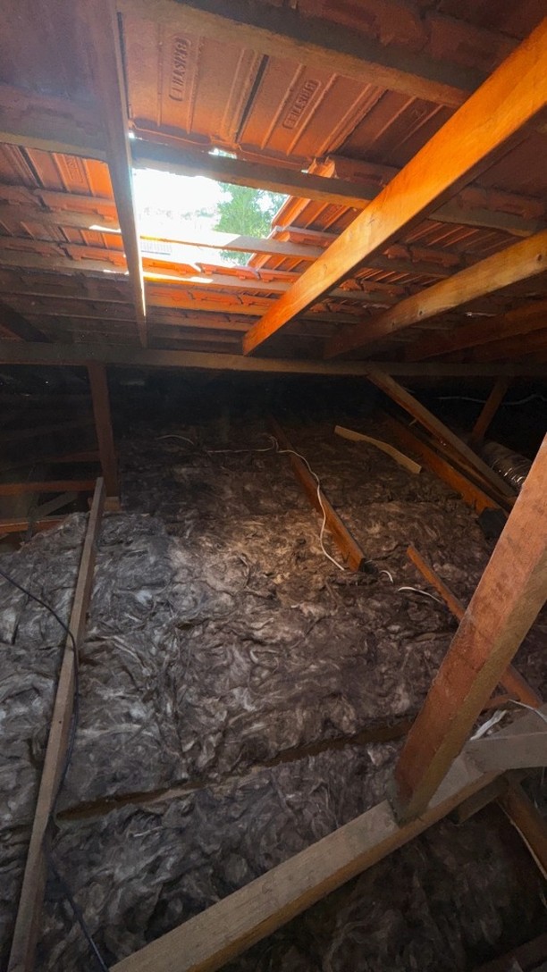 Do you know someone who’s just bought an older home? Chances are, they need our insulation removal and installation services...
Tag them below or share this to let them know!
📞 (08) 9302 2699
📧 info@insulationextract.com.au
#EnergyEfficiencyGroup #InsulationPerth #InsulationSupply #BuildersChoice #KnaufEarthwool #Insulation #InsulationInstallation #CeilingInsulation #Knauf #KnaufInsulation #CavityWallInsulation #CavityWall #Supafil #EnergyEfficiency #HomeInsulation #InsulationExtract #HeatPump
