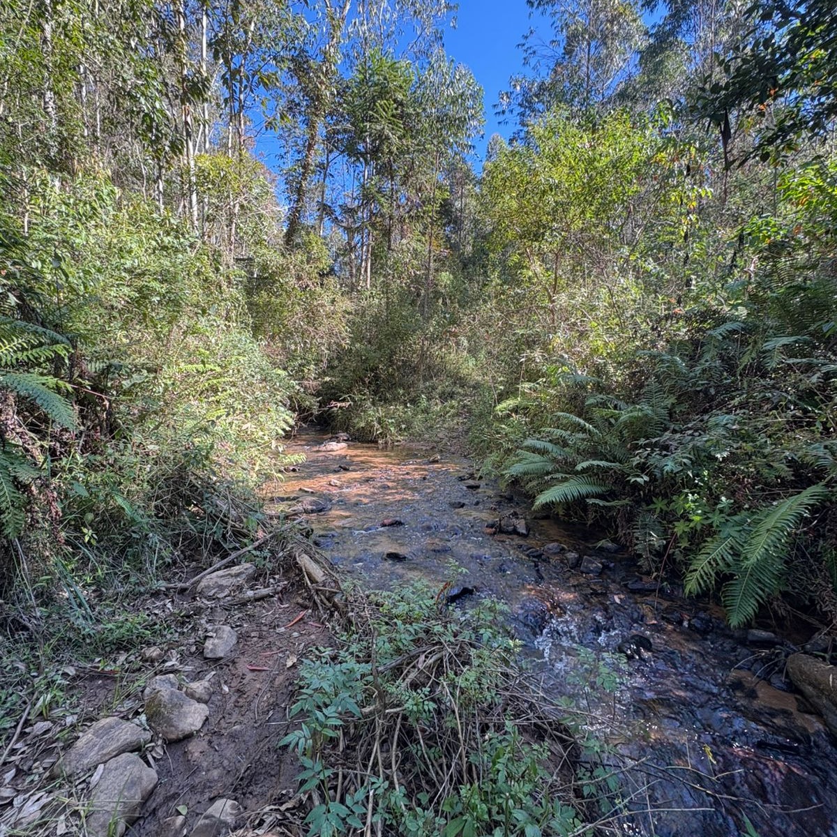 ÁREA COM 26HA PRÓXIMA AO CENTRO DE DELFIM MOREIRA COM VISTA MARAVILHOSA.
Excelente área de 26ha, 11 alqueires, a 1 KM do cento de Delfim Moreira MG
Com vista panorâmica da cidade, de fácil acesso, estando localizada em um local tranquilo;
Possui água em abundância e duas minas;
Com vários platôs prontos para construção;
Já possui duas edificações.
Não perca essa oportunidade!