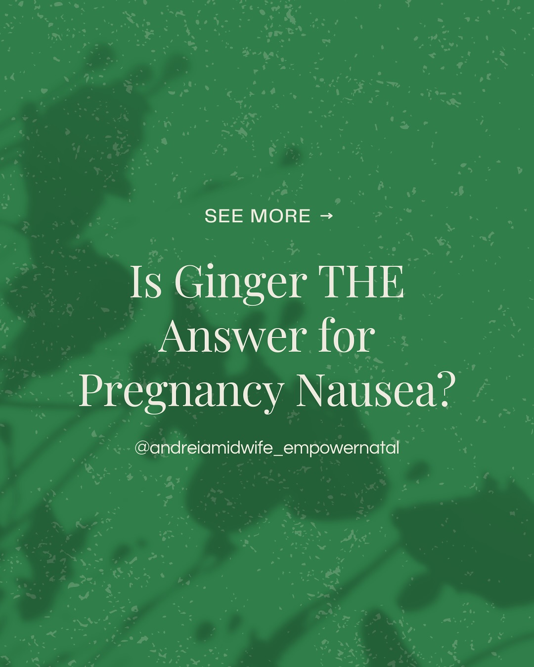 🤰🏻GINGER FOR PREGNANCY NAUSEA: What you NEED to know
Swipe to discover why ginger biscuits may not be working for you and why caution should be taken with ginger in pregnancy.
As a Midwife, I see many women taking generic advice to try ginger biscuits for nausea without fully understanding what ginger does, how can be taken and if it is appropriate.
If you wish to get support from me to help you with sickness in pregnancy, feel free to reach out for a INDIVIDUALISED care!
I am here for you! 🙌🏻
Link in bio to my website👆or feel free to send me a message without any commitments x
#pregnancynausea #morningsickness #pregnancysupport #empowernatal #pregnancytips #naturalpregnancy #expectantmoms #healthypregnancy #pregnancyadvice #midwifecare #momtobe #pregnancylife #pregnancyreflexology #naturalremedies #ginger
