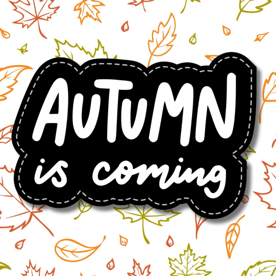 🍂 Fall wedding season is almost here—cool breezes, golden leaves, and the kind of love that feels extra magical.
Whether you’re planning a rustic barn celebration or an elegant garden affair, we’re booking up fast for autumn dates.
Let’s make your wedding unforgettable.
#FallWeddingSeason #AutumnWeddingInspo #LancasterWeddings #PAWeddingVendors #RusticFallWedding #OutdoorWeddingIdeas #WeddingPlanning2025 #EngagedCouples #CateringByJohnLowe