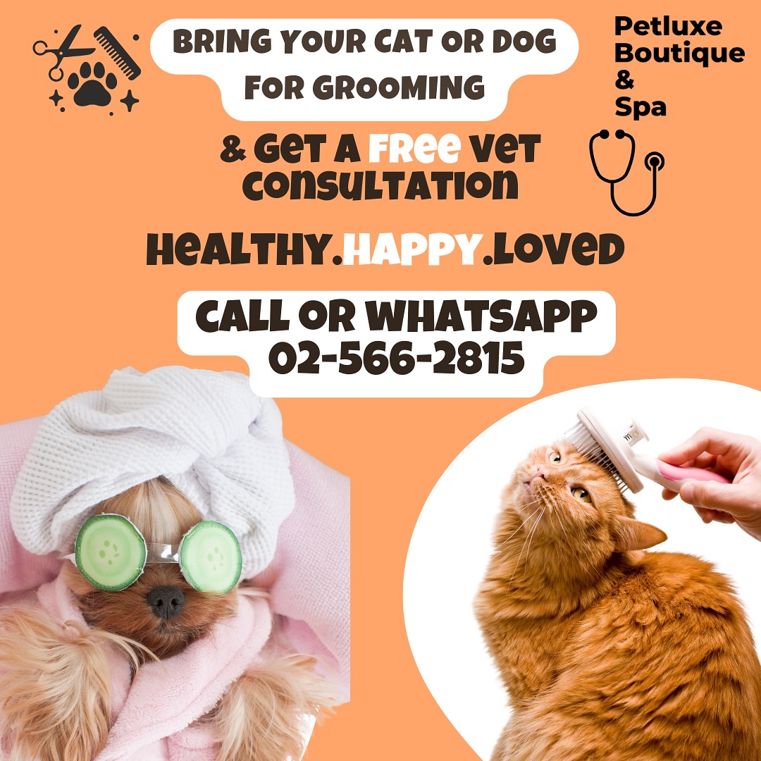 ✨ Bring your cat or dog for grooming ✂️ and get a FREE vet consultation 🩺
Because every pet deserves to be Healthy • Happy • Loved 🐶🐱
✨ أحضر قطك أو كلبك للتجميل ✂️ واحصل على استشارة بيطرية مجانية 🩺
لأن كل حيوان أليف يستحق أن يكون صحي • سعيد • محبوب 🐶�
#Book now 👉🏻02-566-2815 👈🏻احجز الآن