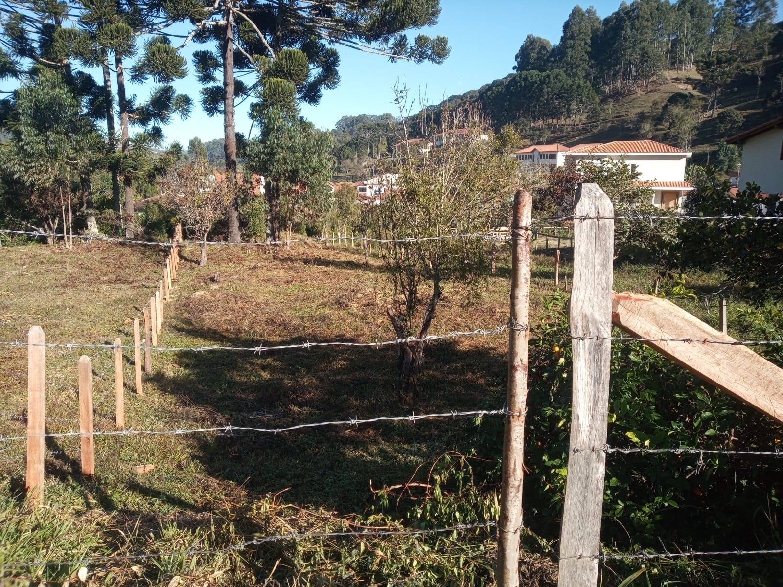 LOTES DE 750M² PRÓXIMOS AO CENTRO DE DELFIM MOREIRA MG.
Lotes com excelente localidade em Delfim Moreira MG
Lotes com aproximadamente 705m² próximos ao centro da cidade, com facilidade a acesso a escolas, posto de saúde e comércios.
Não perca essa oportunidade!