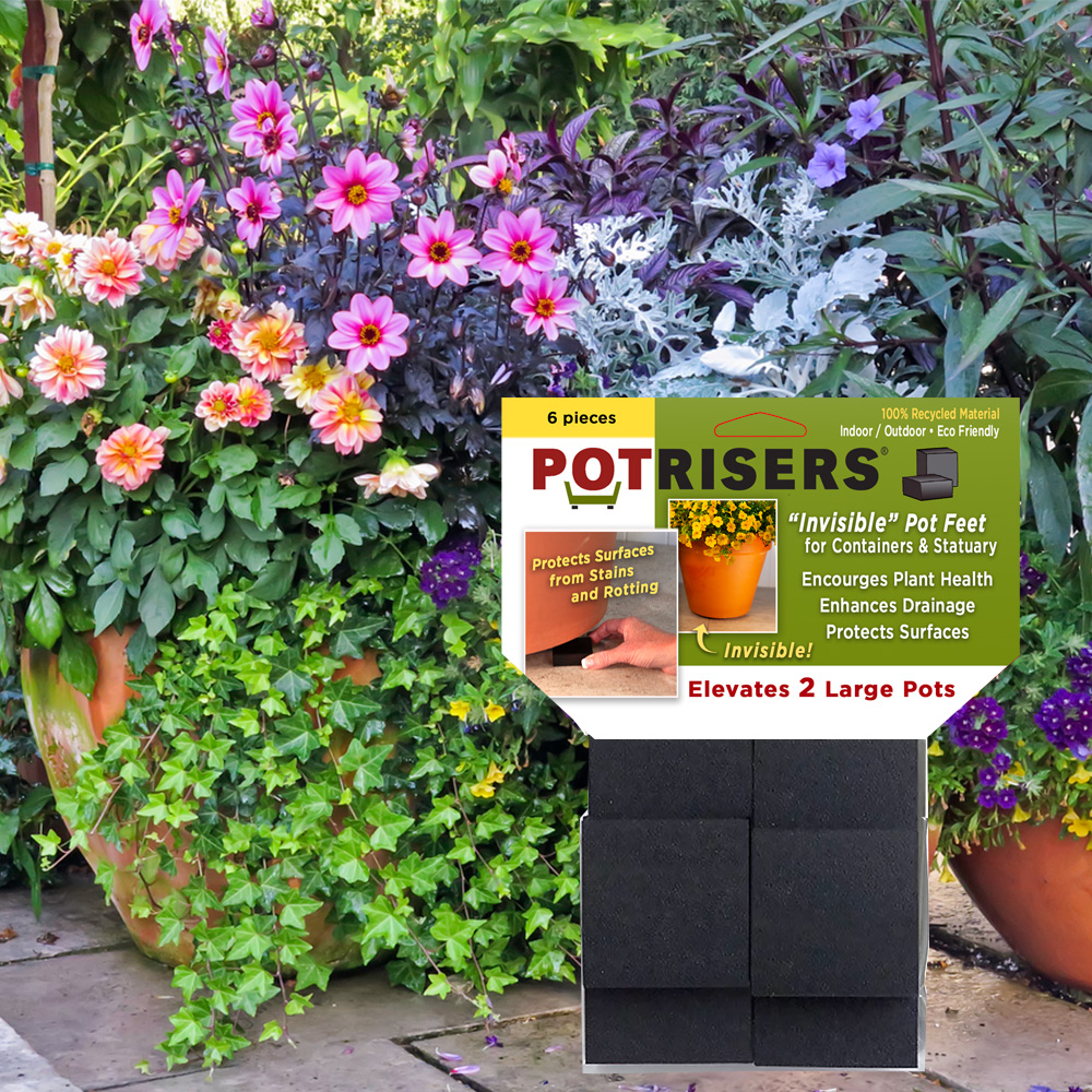 Shop Local, Elevate Your Planters with Potrisers!
Summer is here—time to refresh your patio, garden, or outdoor space! Potrisers are the simple, smart way to lift your planters and statuary for better drainage, air circulation, and a cleaner look.
You can find Potrisers at some amazing local home & garden stores—so you can shop local AND upgrade your garden:
🏡 Southwest Wholesale Nursery
2220 Sandy Lake Road, Carrollton, TX 75006
🔗 southwestnursery.com
🏡 Sloat Garden Center (multiple locations)
🔗 sloatgardens.com
🏡 Pottery Planet (multiple locations)
🔗 potteryplanet.com
🏡 Swansons Nursery
9701 15th Ave NW, Seattle, WA 98117
🔗 swansonsnursery.com
🏡 Outdoor Accents (multiple locations)
🔗 outdooraccentsofflorida.com
Get your Potrisers today and support your local home and garden store—your plants (and your patio) will thank you!
#gardencenteressentials #sloatgarden #southwestwholesalenursery #potteryplanet #swansonnursery #outdooraccents #ContainerGardenGoals #ContainerGardening #potrisers