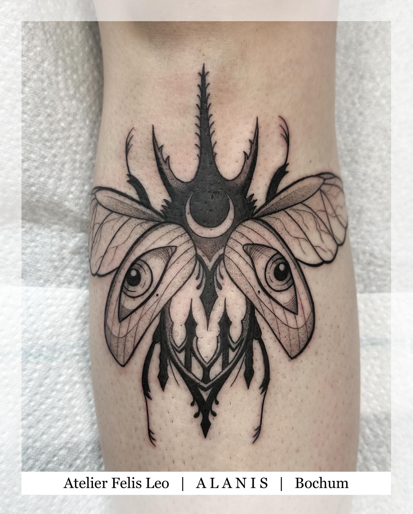 Ein düsterer Käfer mit Kathedralen Elementen von unserer @misspumpkin_tattoo 🧡
#blackworktattoo #dotworktattoo #blacktattoo #neotraditionaltattoo #occulttattoo #mysticaltattoo #insecttattoo #entomologytattoo #tattooart #tattooartist #bochumtattoo #germantattooartist #darktattoo #blackworkart #blackworkdesign #tattoolinework #lineworktattoo #blackinktattoo #illustrativetattoo #darkartist #tattoolovers #tattoodesign