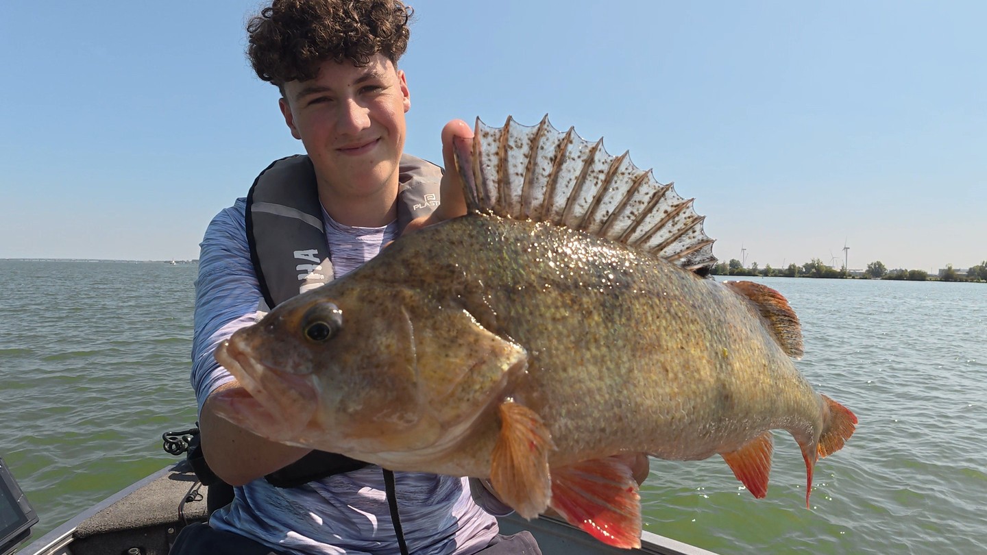 BOOM! aangeworpen op de livescope. HD-baars.
#yamahaprofishing #batterylabs #lurefishingguide