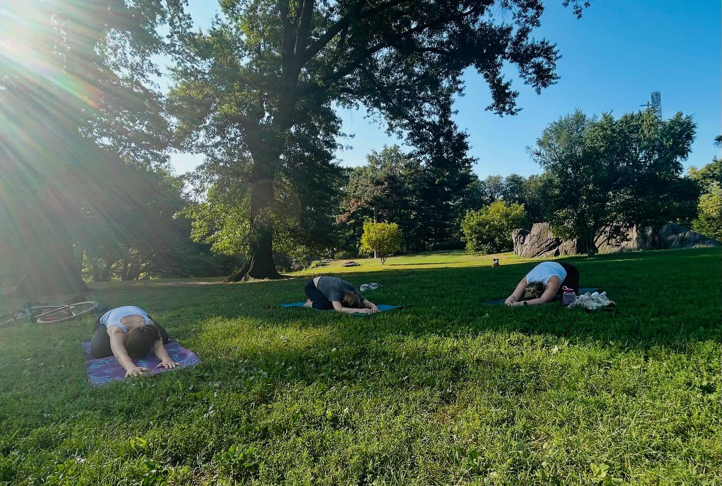 Early Friday morning stretching under a tree is our new obsession 🌳
#pilates
#pilatesstudio
#ThingsToDoInNYC
#NYCThingsToDo
#NYCBucketList
#NYCSpots
#NYCActivities
#NYCFun
#NYCHiddenGems
#OnlyInNYC
#SecretNYC
#NYCFitness
#NYCWellness
#OutdoorFitnessNYC
#CentralParkWorkout
#MindfulInNYC
#PilatesInThePark
#NYCOutdoorLife
#CentralParkPilates
#CentralParkPilates #UWS
#upperwestside