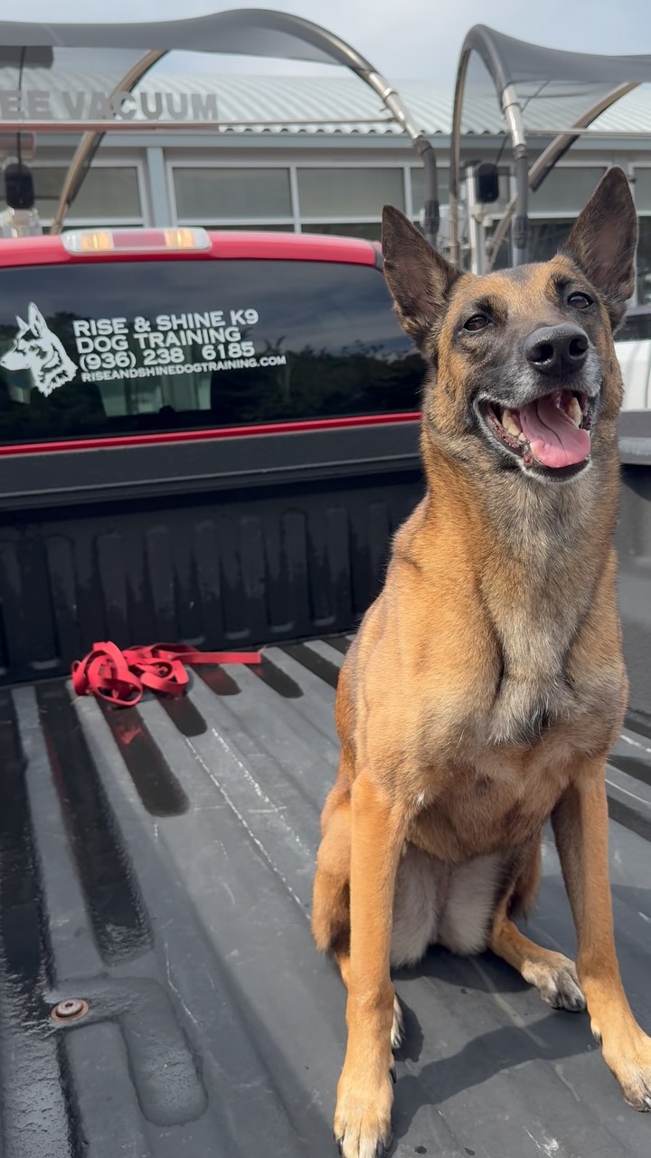 We love @smittyswash ! Cleaning up Josieās dog hair is a full time job