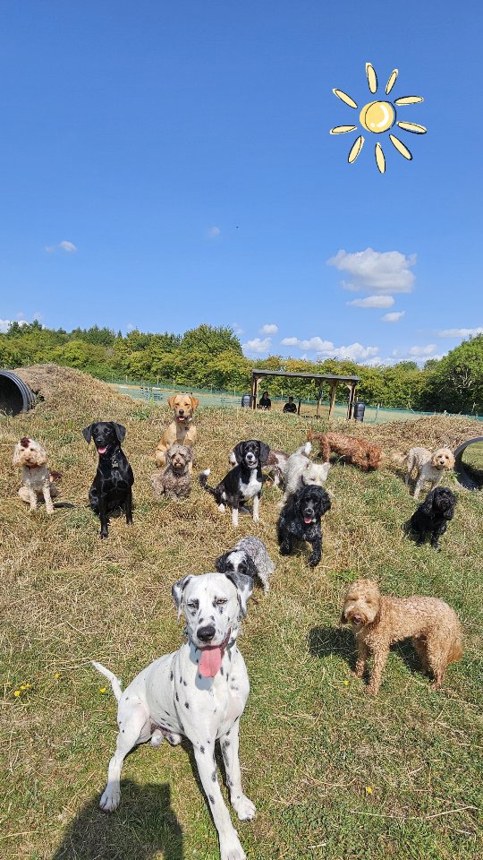 Happy friday! Hope you have a lovely weekend all 🐾