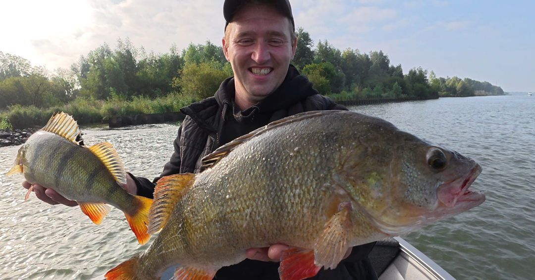 Double trouble for Carlos. With the #SPRO RK crawler you can hook two big one's at the same time 💪
#yamahaprofishing #batterylabs #proventocatch #lurefishingguide #buya