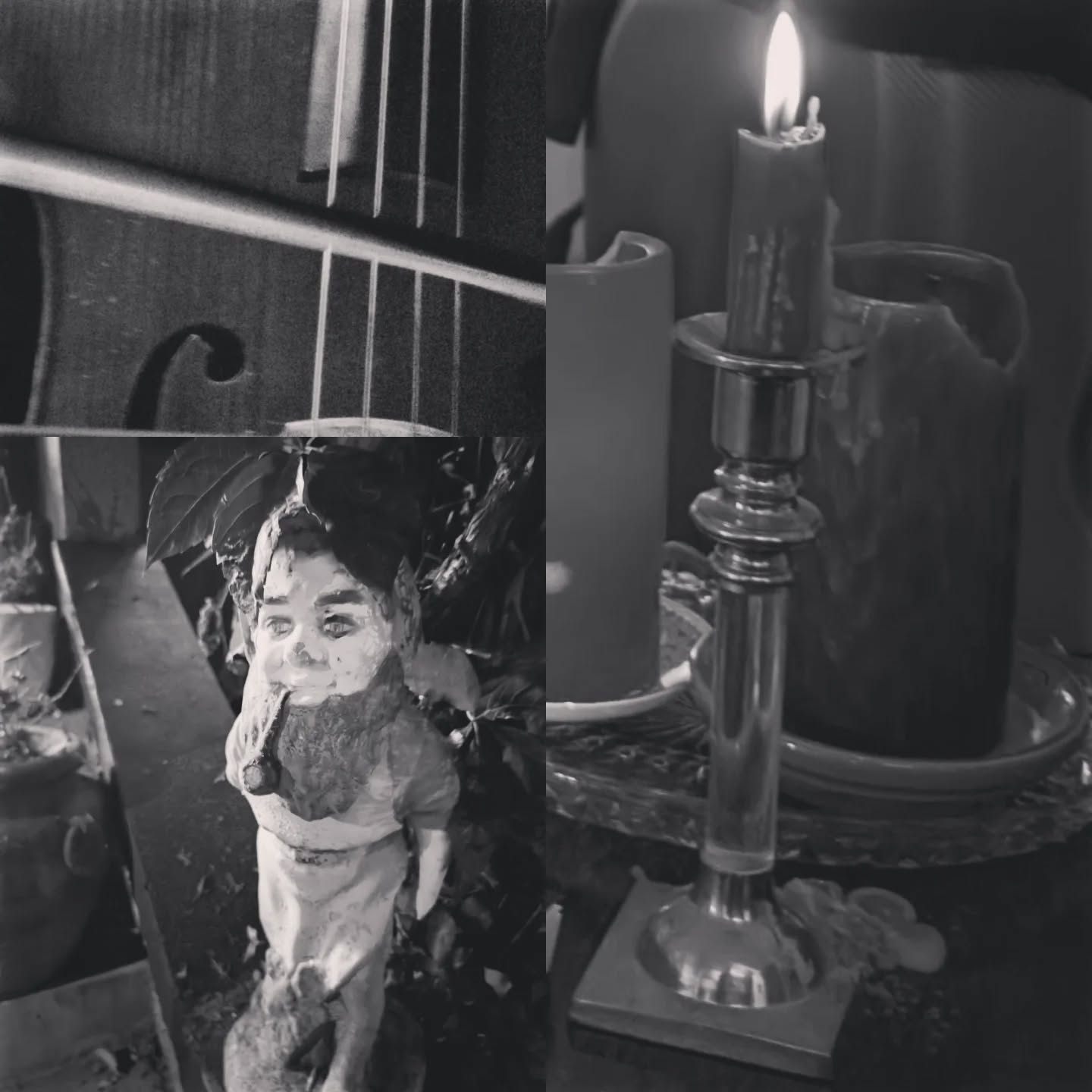 Private musical performances by candlelight with magical garden friends. That's my kind of hot August night. No loud cars in the secret garden, please. #nightvibes #friends #fabulousness #postpunk #zakunscripted