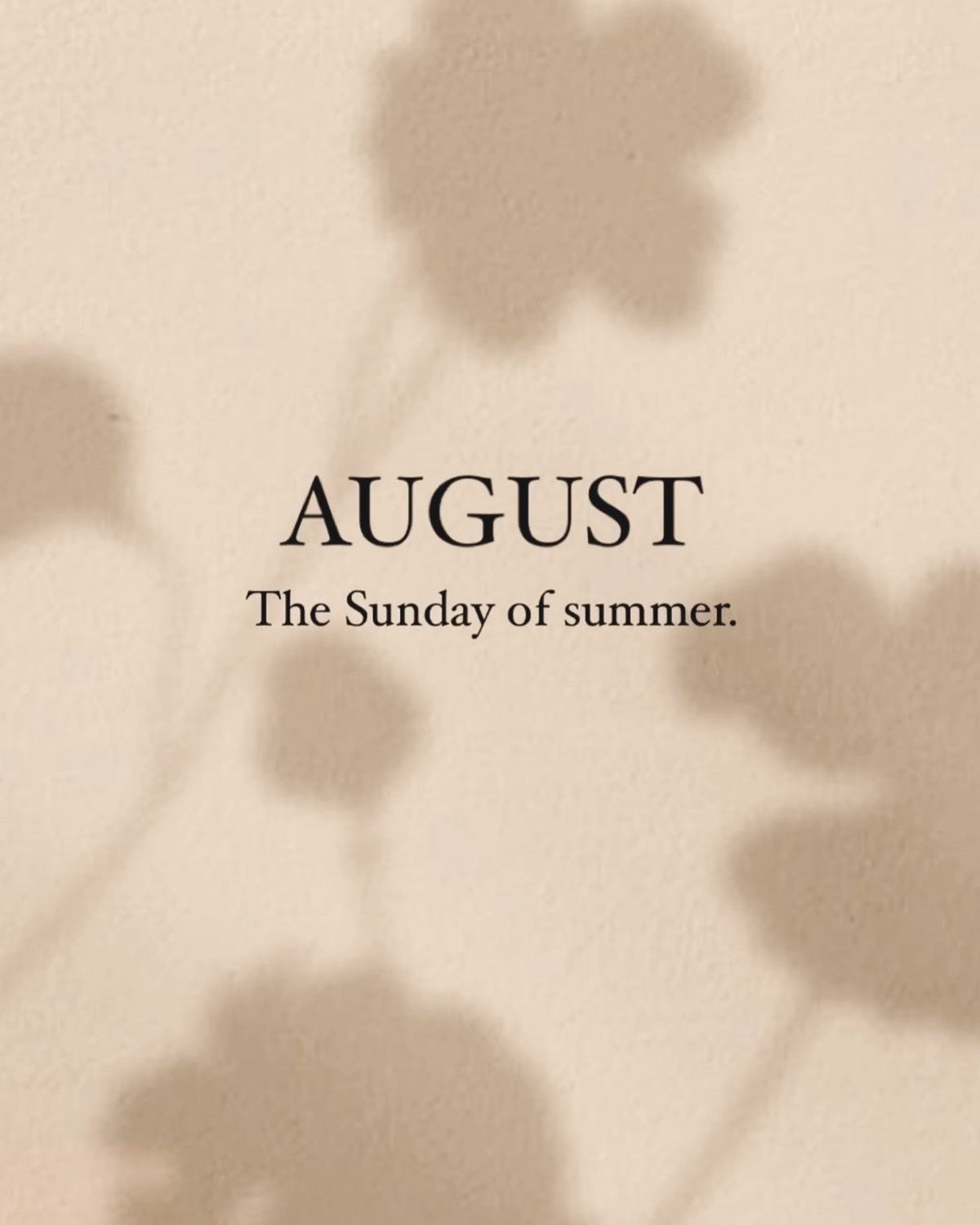 I do love myself a sunday
#slowsunday #lateaugust #august #eastcoastsummer #newengland