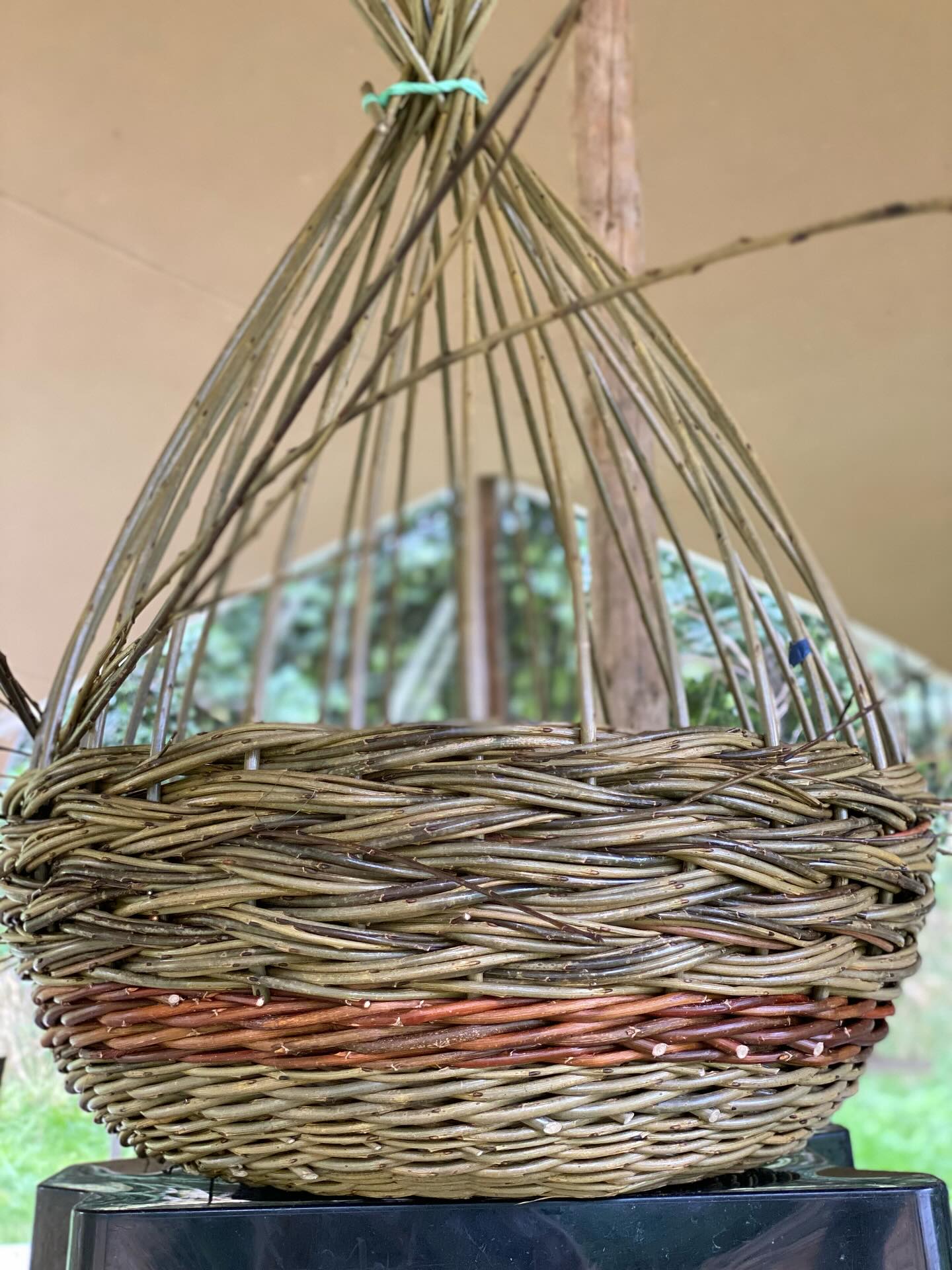 Early starts in the weaving tent with my favourite app and natures best sound track ❤️🪶
#summerholidays #beforeeveryonewakesup #basketmaking #basketweaving #ticktockweave
