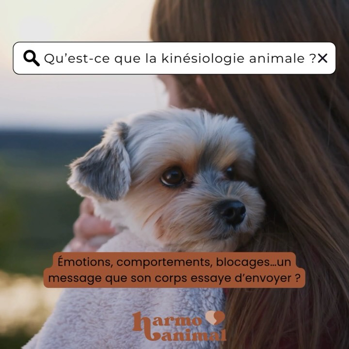 Et toi tu connaissais la kinésiologie ? 🐾
#kinesiologie #kinesiologieanimale #bienetreanimal #gironde #nouvelleaquitaine #harmoanimal