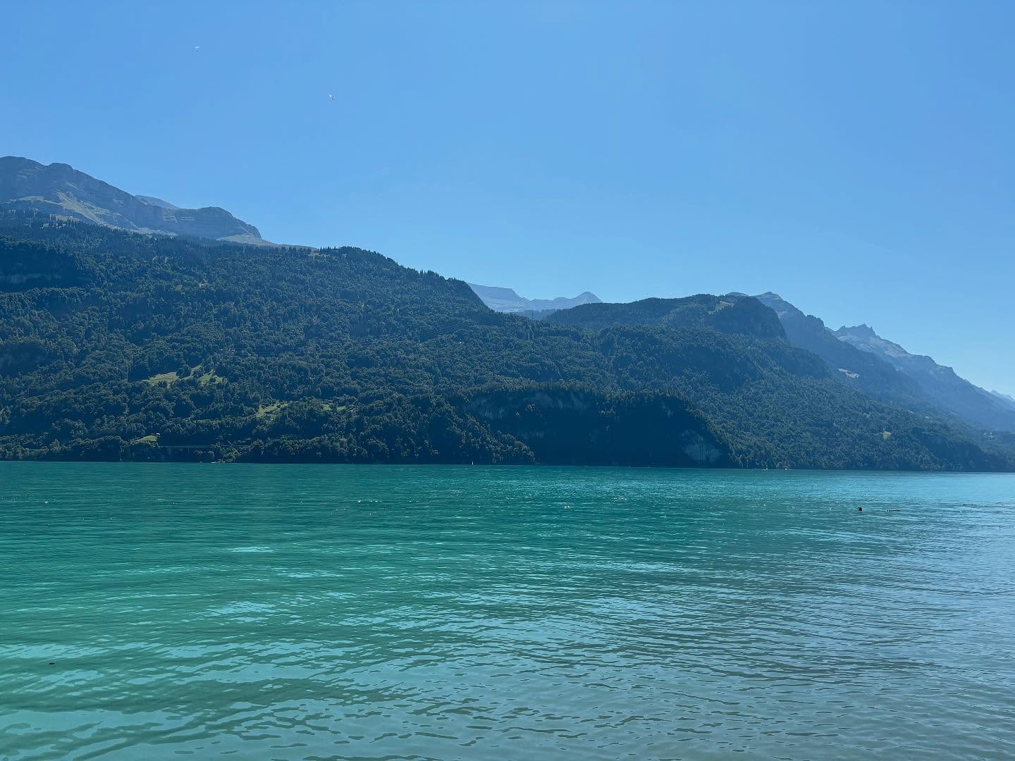Sommerpause vorbei ☀️🏊♀️. In fünf Wochen startet die Lehre wieder – dieses Semester in Basel (@germaunibasel ). Bis dahin steht noch die Arbeit an zwei Aufsätzen auf dem Programm… #sommer #semesterferien #lehre #variationslinguistik #variationslinguistinsusanne