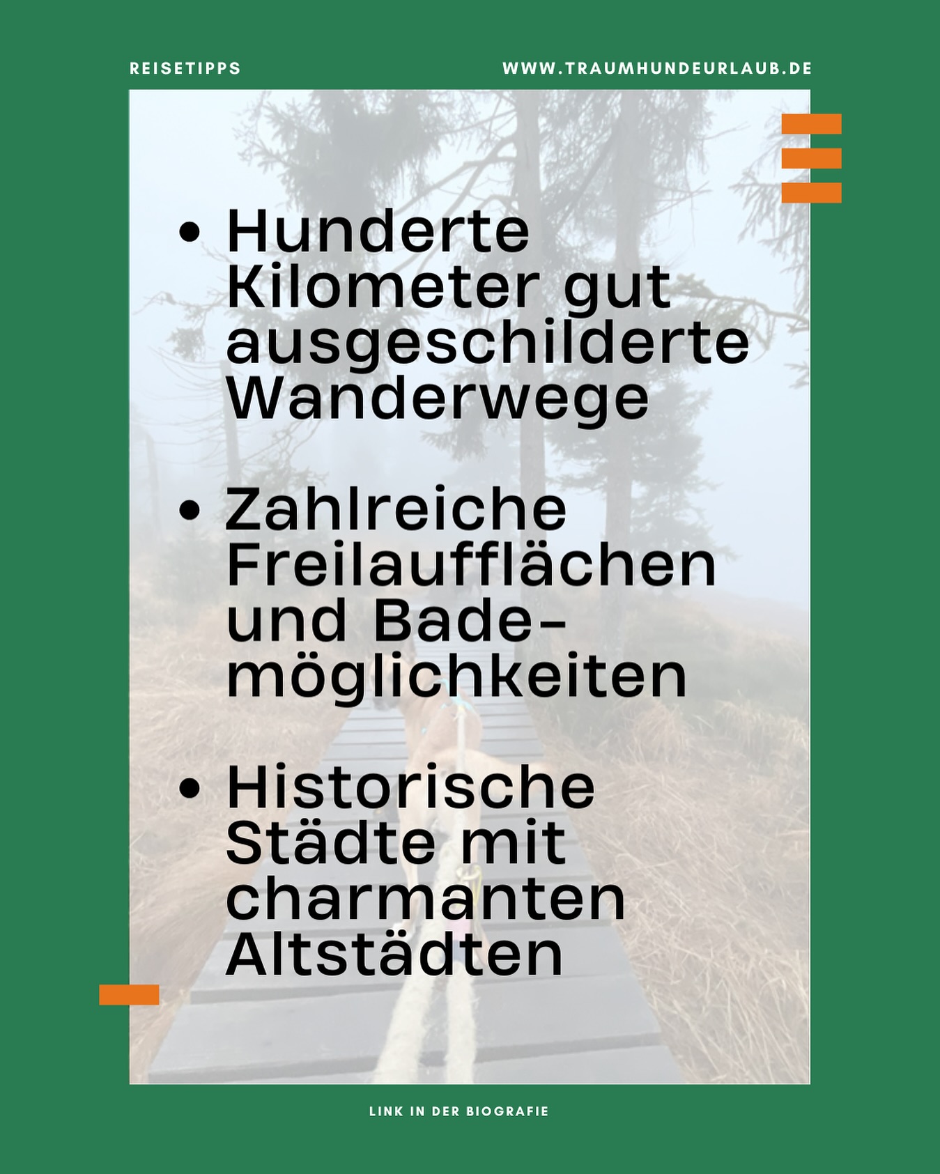 🐾🌲 Urlaub im Harz mit Hund – Natur pur für Zwei- & Vierbeiner!
Ob mystische Wälder, Wasserfälle oder die Brockenbahn 🚂🐕 – der Harz ist ein echtes Abenteuerrevier für dich und deine Fellnase.
Im neuen Blogpost findest du:
✨ die schönsten Wanderungen
✨ hundefreundliche Einkehrmöglichkeiten
✨ praktische Tipps für stressfreies Reisen
👉 Hol dir die Inspiration für euer nächstes Abenteuer – Link in Bio!
#harzmithund #hundeurlaub #wandernmithund #naturabenteuer #pfotenglück #traumhundeurlaub #hunde #hundeglück #harzmountains #harzliebe
