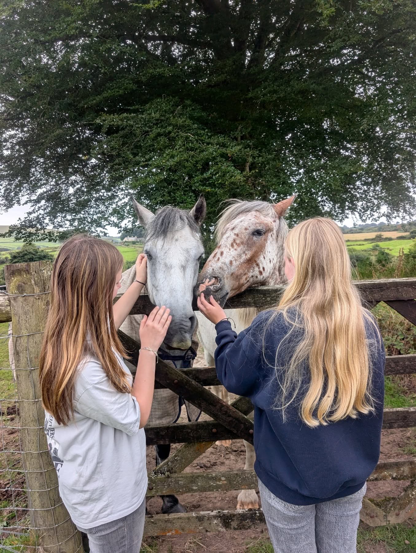 Making memories 🥰 We are now open for bookings next year. Please click the link in bio to book X
.
.
.
.
#lowerwillsworthy #summerholidays☀️ #familyholidays❤️ #selfcateringaccommodation #dartmoorholidays #dartmoornationalpark #dartmoorholidaycottage #holidaycottagedartmoor #holidaycottagesuk #love #connemarapony #countryretreat #escapetothecountry #ukbreaks #vistdartmoor #visitdevon
