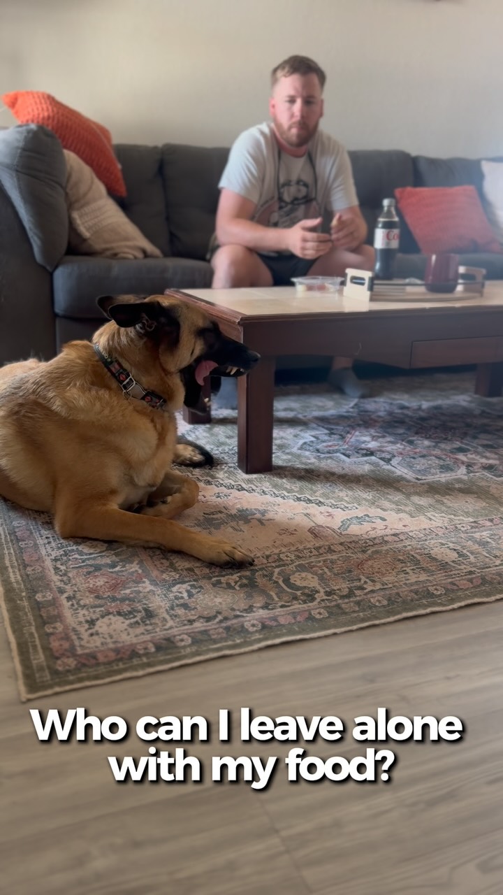 Impulse control: the most delicious test 🍗🐾
#GoodBoyEnergy