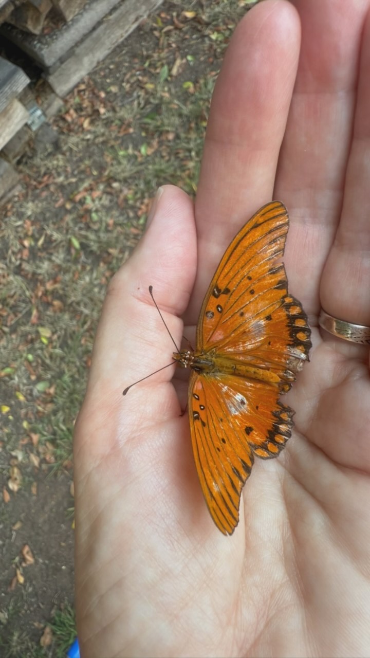 May we all have someone to tend to and someone who tends to us 🧡
The world could use more tending these days…wouldn’t you agree?