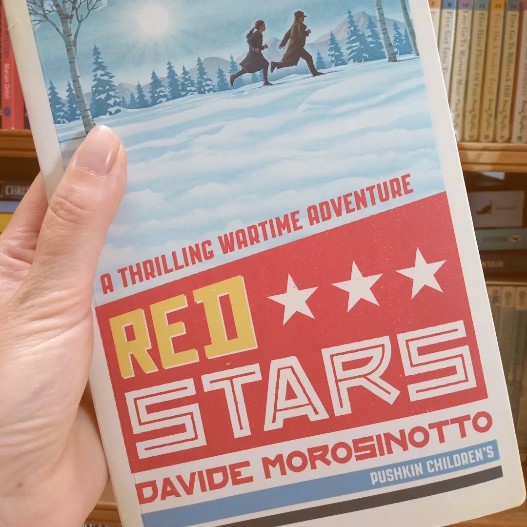 A unique, thrilling, eye-opening insight into wartime Russia in the early 1940s. Written ingeniously, the story is told through the fictional journals of twins Nadya and Viktor. Separated when they are evacuated from Leningrad by the Party, they will stop at nothing to be reunited....