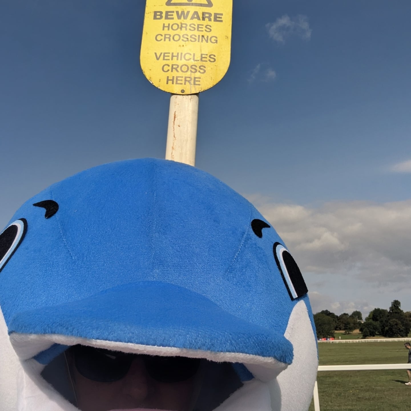 Last week was York Racecourse, this week Northallerton. The dolphin just keeps Running for the Ocean @parkrunuk