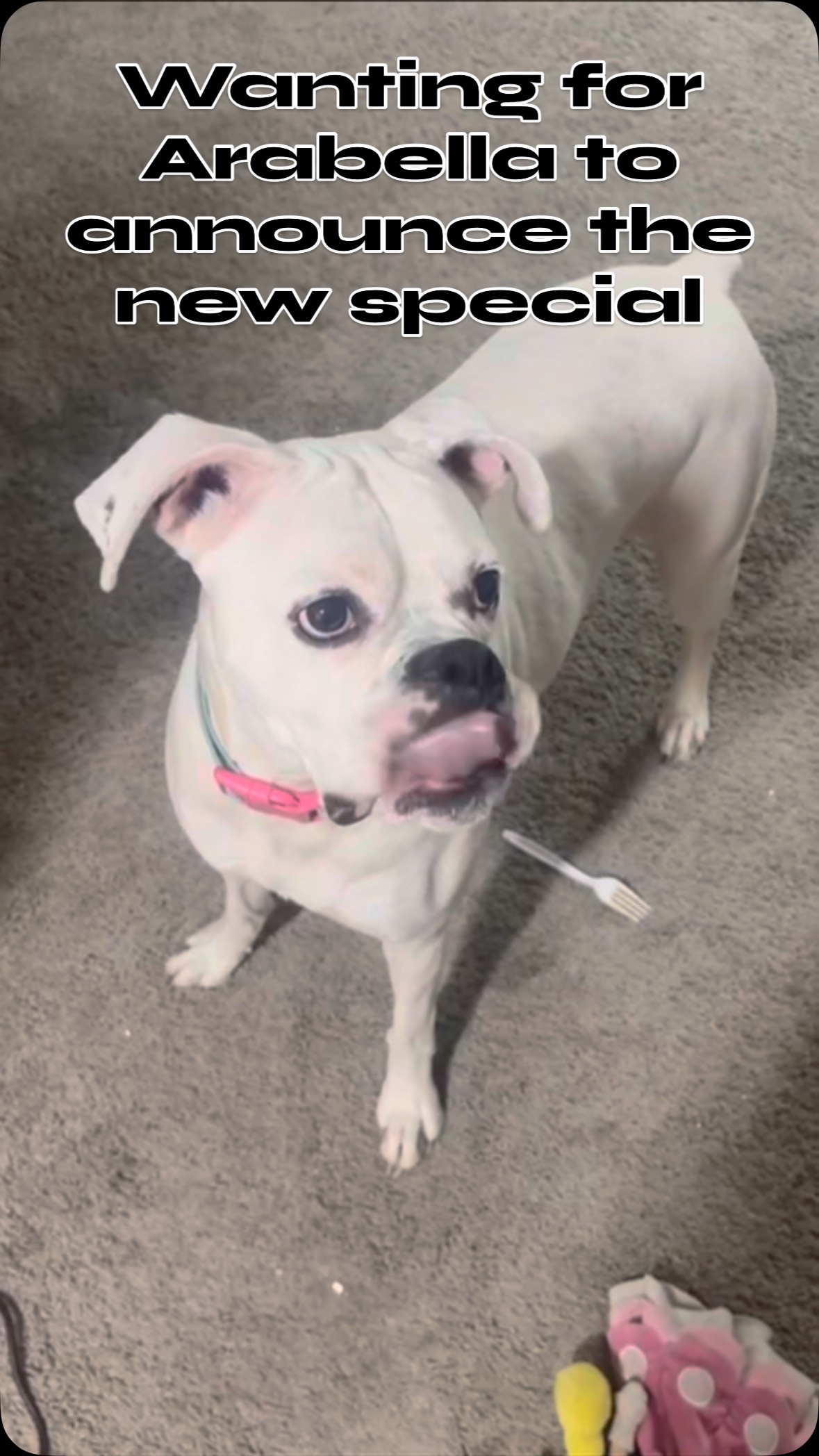 We’re happy when you’re happy! Thanks for all the love on $10 pasta bowl night. We will be doing that every Tuesday for the rest of the summer (maybe even beyond)! More weekly specials are coming and we’d love your opinions. See you all soon! #weloveourcustomers❤️