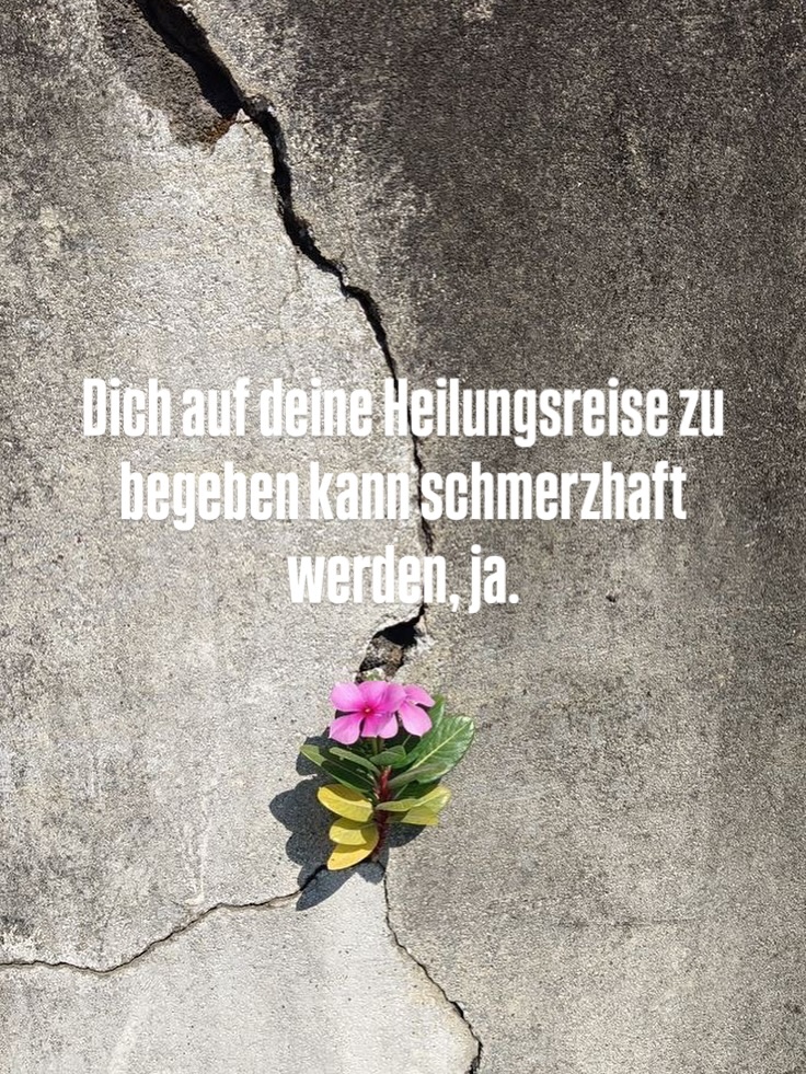 Wenn du denkst, dass es bei innerer Arbeit immer nur darum geht Schmerzhafte Erfahrungen zu releasen lies unbedingt hier:⤵️
Viele denken bei Trauma, Heilung & in den Körper spüren an grausige, schmerzhafte Erfahrungen, Speicherungen und Gefühle.
Doch wie sieht’s eigentlich mit Freude, Fülle, Erfüllung & Ekstase aus?
Ich mag dich in eine ganz wundervolle Erfahrung der letzten Wochen mitnehmen, in denen ich mir einen An-Teil in mir wieder zurück geholt habe, von dem ich nicht so genau wusste, dass er mir, zumindest in der Form, verloren gegangen ist.
Und ich spreche hier nicht von einem Schatten-Anteil. Bzw nicht direkt. Denn ganz oft wartet unter einem Schatten Anteil der lichtvolle Aspekt davon, quasi das duale Gegenstück.
So aber noch mal auf Anfang: ich hab also vor vier Wochen beschlossen, all in zu gehen und mich noch mehr auf mich selbst einzulassen. Nicht mehr zu deckeln.
Und da kam erstmal ganz viel Wut, Scham & Abscheu zum Vorschein. Und auch viel Angst. Mein System war überfordert und ich hatte die krasseste MIgräne Attacke. Die erste seit drei Jahren. Die ärgste seit ich ich mich erinnern kann. Und trotzdem. Etwas hatte sich verändert. Fühlte sich leichter an.
Ich ließ mich dazu begleiten und spürte eine Mischung aus Angst & der ruhigsten und entspanntesten Ruhe in mir ever.
Und die krasseste Erkenntnis aus der Session war, dass ich Angst mit Freude verwechselt habe. Dass meine Mission der letzten Wochen nicht war, mir einen krassen Schattenanteil zurück zu holen. Sondern den sonnigen.
Den der Freude. Den der wilden Hilde, den ich mir seit Jahren verboten habe.
Weil ich nicht so laut sein sollte.
Sondern brav. 😇
Und die nächste krasse Erkenntnis war, dass mein Körper-System die ekstatische Freude noch nicht halten kann. Sondern darunter kollabiert und sich in der Migräne Attacke wieder entladen musste.
Life‘s so weird.
Was ist das für eine krasse Erfahrung, in der wir erst wieder lernen dürfen ekstatische Freude zu erleben?
Anyway. Hier ists grad ruhiger, weil ich mich darin übe, genau diese Freude wieder in meiner Körperin zu halten ✨🐦🔥All the love, E ❤️