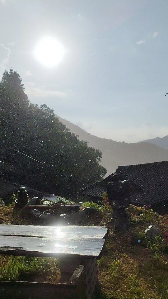 gentle rain
#天気雨