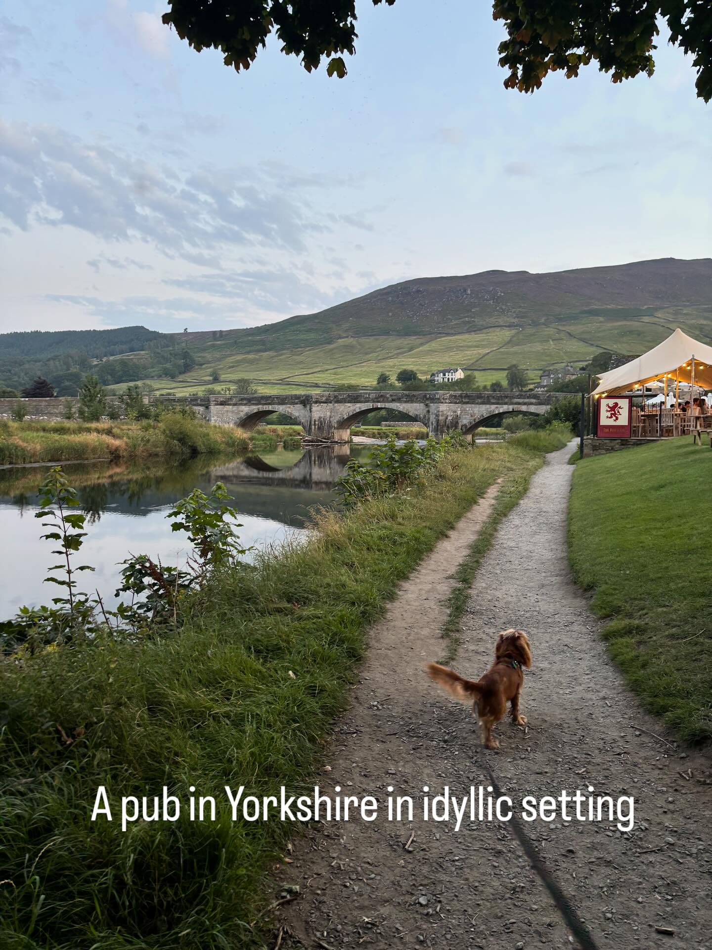 There are so many beautiful 😍 places in the UK….I was away this week at a lovely midweek wedding in Yorkshire. The weather couldn’t have been better for the bride and groom who live in Oz! Most of the wedding party stayed at this pub hotel which had the most perfect setting for river swims and dog walks. Food good too. There was so much peace and tranquility. Too good not to share! If ever near Skipton on a nice day, do stop off at The Red Lion in Burnsall. @redlionburnsall
#yorkshire #burnsall