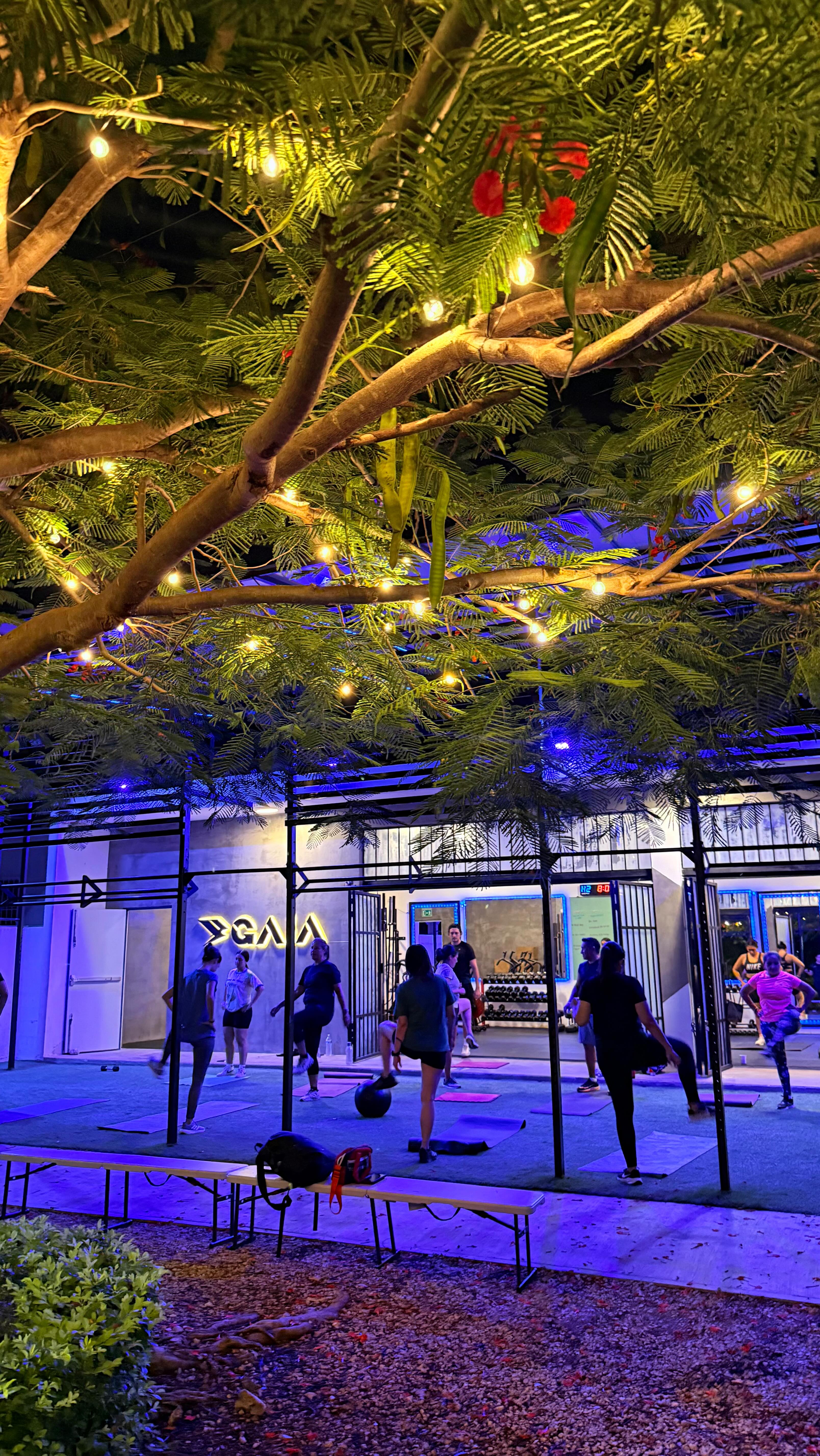 Del 1 al Gio, ¿qué tan dura sentiste la semana de entrenamiento?
#fitnessmotivation #functionalfitness #salud
@gerardogio1