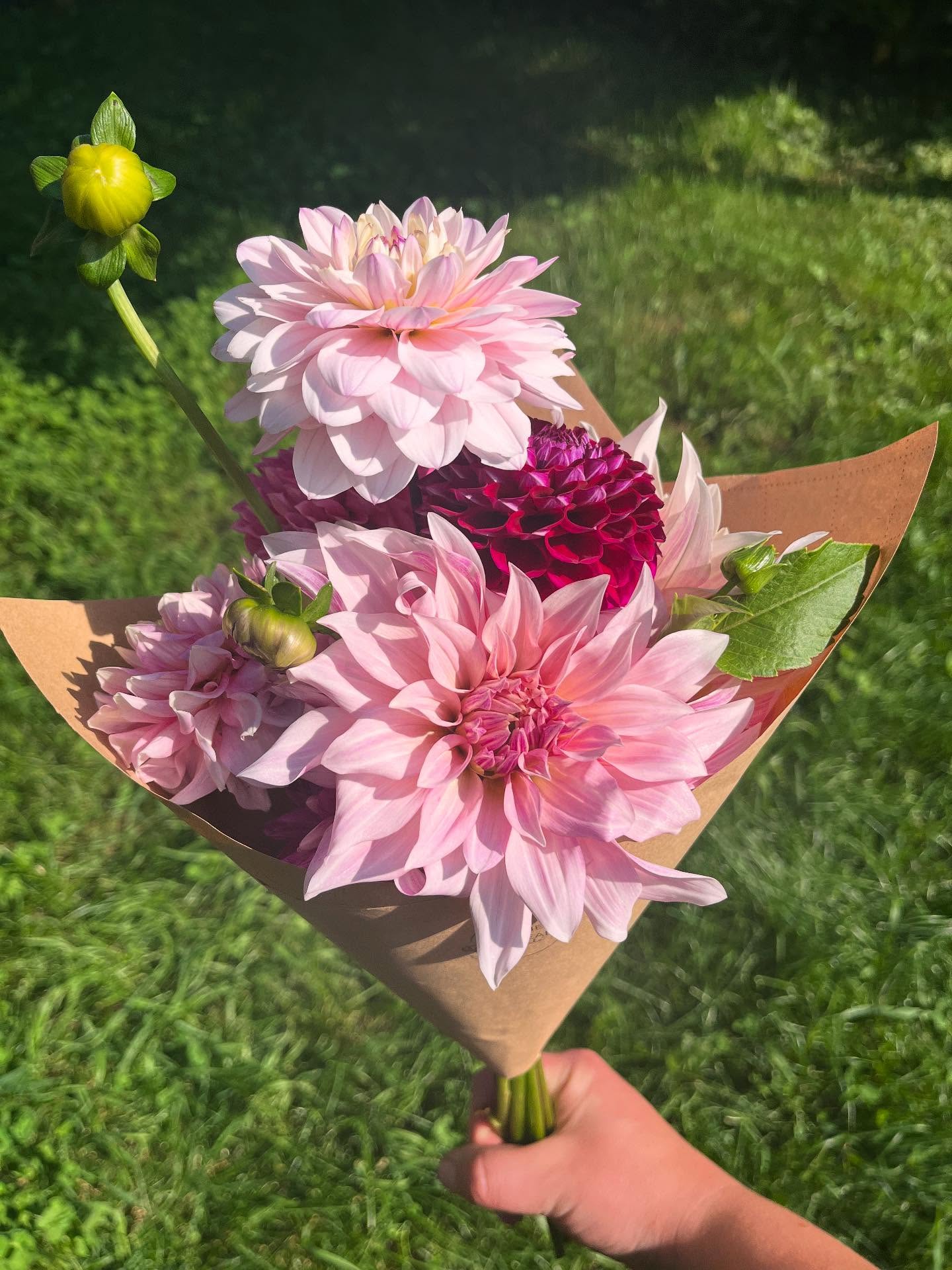 More dahlia bouquets up on our site now 🌸
Find the link to purchase in our bio