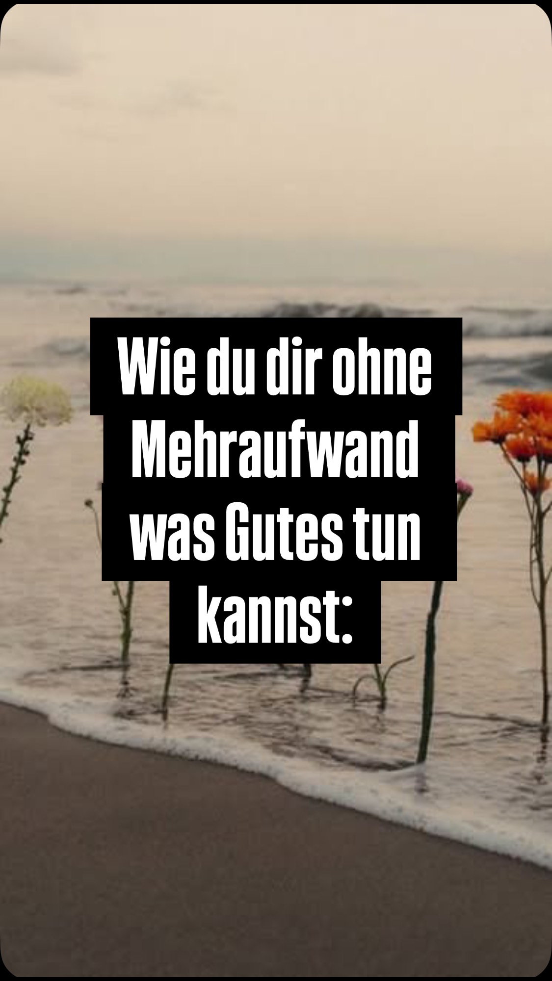 There You Go ⤵️🫶🏻
Über Verbundenheit. Mit dir und deinem Körper. Über Präsenz im Hier & Jetzt.
Du kannst es in jedem Moment, egal wo du bist, für dich nutzen.
✨ Verbinde dich mit deinem Körper 🧘🏻♀️
Hier ein paar Beispiele ⤵️
💖 Lenke deinen Fokus auf nur eine Sache und spiele mit deiner Aufmerksamkeit 🤹🏻♀️
🧚🏻 Spüre deine Kontaktflächen ganz bewusst: deine Füße am Boden, deine Hände wie sie dein Smartphone halten, dein Rücken der angelehnt ist, die Sitzfläche, auf der du sitzt.
🧚🏻 Spüre deinen Atem ganz bewusst. Den Moment wo du einatmest, Luft in deine Nase strömt und dein Bauch sich dabei sanft anhebt und den Moment deiner Ausatmung, die Luft die aus deiner Nase ausströmt und deinen Bauch, der sich dabei wieder sanft senkt.
🧚🏻 Lenke deinen Fokus auf deinen Körper als Ganzes. Wie fühlt sich dein Körper jetzt gerade an? Gibt es Stellen, die besonders hervor heben und vielleicht welche, die sich eher dumpf, schwer, anders anfühlen?
🧚🏻 Wie ist deine aktuelle Muskelspannung? In deinem Nacken, Schultern-Bereich, im Kiefer, im Rücken & Beckenraum?
✨ Stell dir dabei gerne innerlich folgende Frage 💭
Wie fühlt sich mein Körper an, während ich xy tue? Wie fühlt sich mein Körper an, während ich in dieser Situation bin? Und werde dabei zur/m wertfreien Beobachter:in
✨ dein System merkt: ich bin in Sicherheit. Mir geschieht hier nichts. Dadurch weniger Gedankenkarrussel, weniger sich Sorgen um Vergangenes oder Zukünftiges 💖
✨ Be Present. Und erlebe Momente in einem Ganz-Dasein-Zustand, ohne dabei an deine To-Dos und innerlich schon zehn Schritte weiter zu sein.
Du braucht nur dich. Ganz so wie du gerade bist. Denn das ist genau richtig 💖
🫀all the love,
deine Eva
EMBODIMENT
BODY WORK
BEWUSSTSEIN
PRÄSENZ