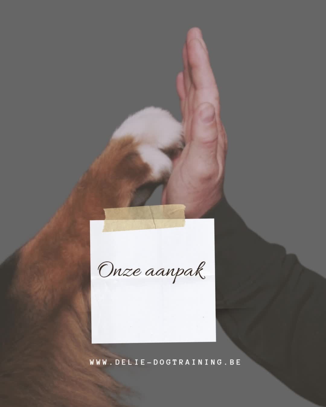 Dieper contact met je hond
Begrijpen van emoties en gedragingen stabielere hond liefdevolle begeleiding
Geen negatieve impuls met ook snoepjes geven
Wetenschappelijke onderbouwing
#gedragstherapie #hondentraining #hondengedragsdeskundige #hondengedragstherapeut #hondenliefhebber #hondenbegeleiding #puppy #puppytraining #puppyopvoeden