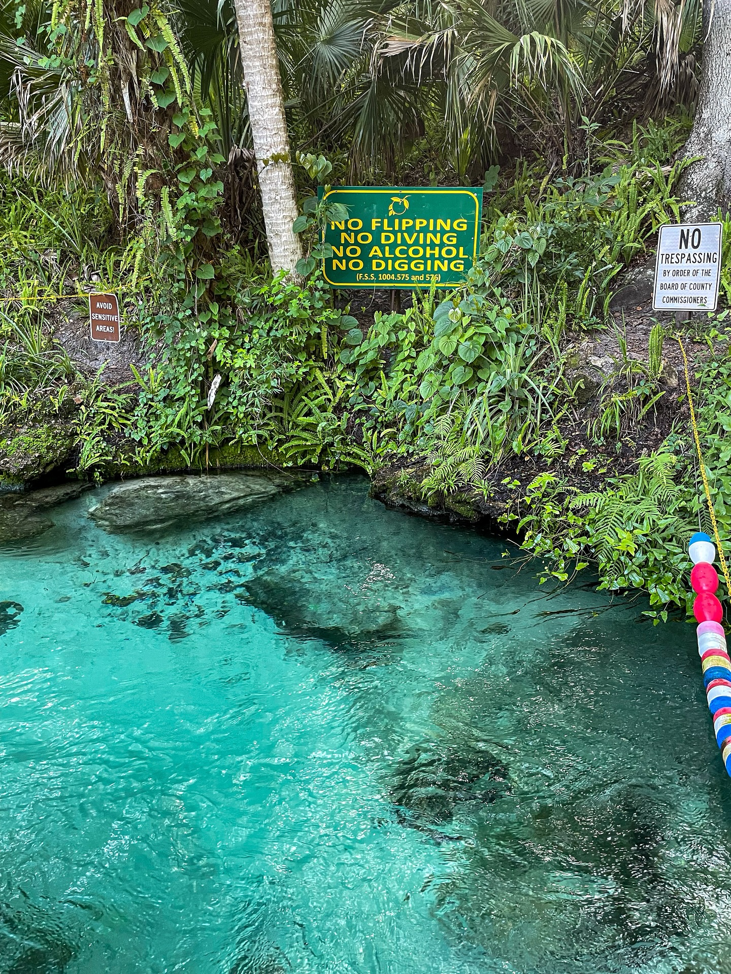Looking for the perfect Florida family day trip? Kelly Park Rock Springs in Apopka has everything parents and kids could want.
Picture this: floating down a crystal‑clear spring that feels like a lazy river, stopping for a picnic under shady trees, and letting the kids splash in the swimming area. All for just $5 per car!
✅ Tubing that’s safe for all ages
✅ A swimming area for little ones
✅ Hiking, picnicking, and even camping overnight
🎒 Our Kelly Park Rock Springs family guide breaks down everything you need to know — from arrival tips to what to pack. Drop a “ Crystal clear “ in the comments and I will send it over to your DM.
#Orlando #OrlandoFL #Floridasprings #floridalife #apopkafl