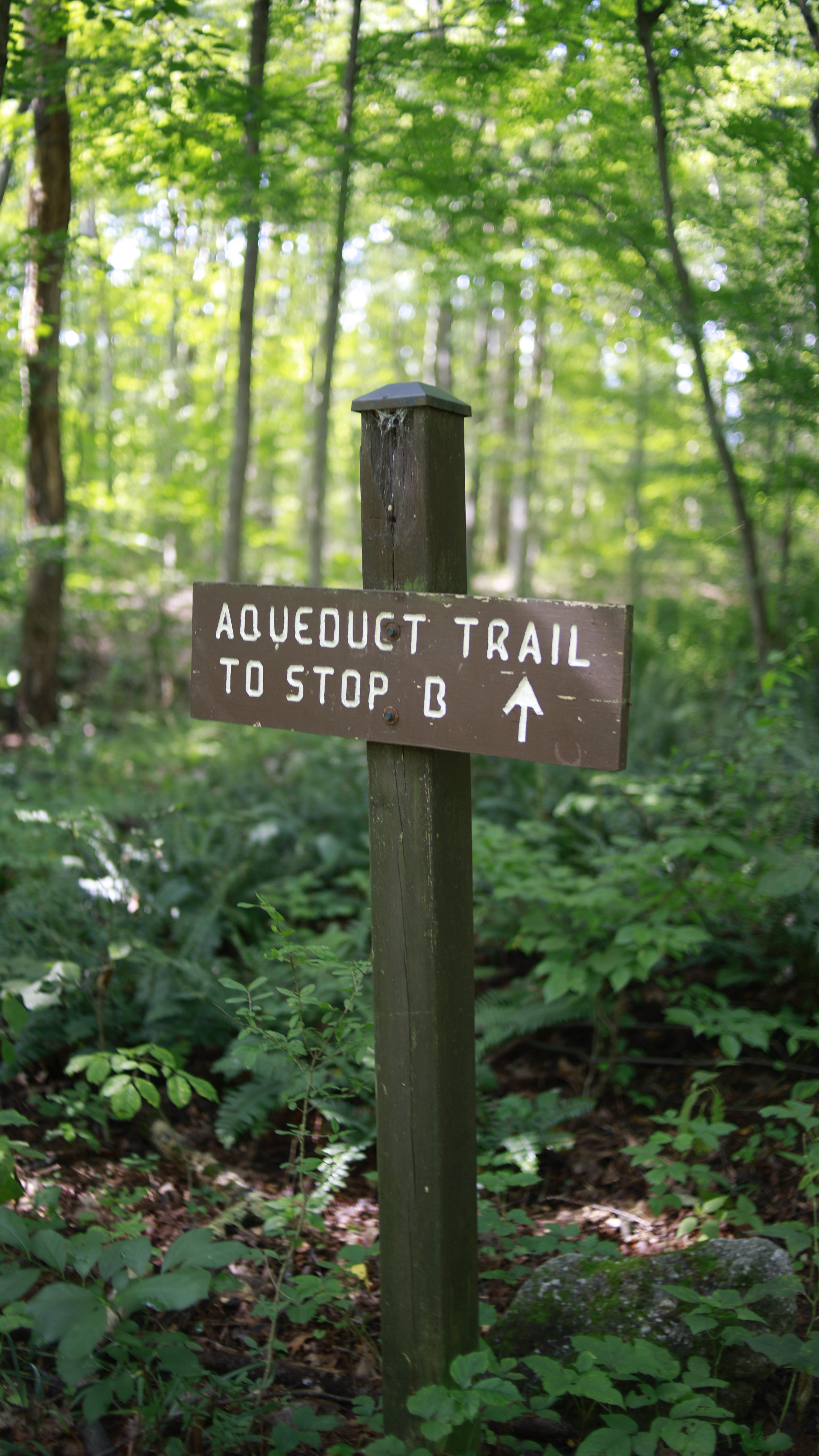 A Day trip with Valley & Ridge: Spend the day exploring Jockey Hollow!
Start your morning with a fresh hot sandwich from @wbdeli
🌳 Then head into history at Jockey Hollow for a walk, a picnic, or a little Revolutionary War lesson!
Later, Grab a protein shake or snack at @simplecoffeemendham to refuel after the adventure
👉 Want more local escapes? Read the full article on our day trip wt jockey hollow on our website, or subscribe to receive the next issue of Valley & Ridge Magazine for even more day trip ideas right here in our community!!
#ValleyAndRidgeMagazine #LocalAdventures #DayTripIdeas #NJHistory #SupportLocal